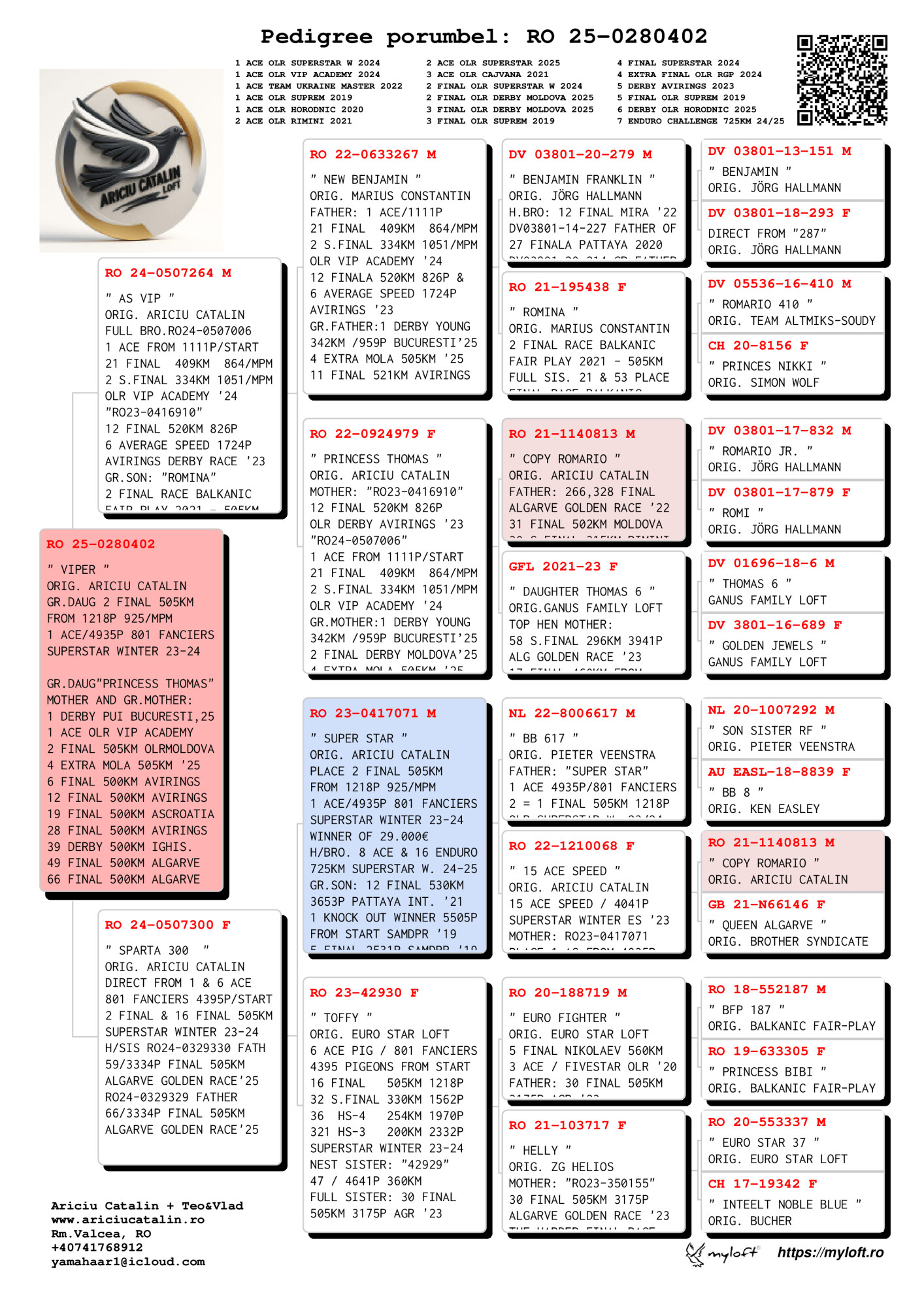 RO25-0280402 DİŞİ / DEDESİ SUPERTAR 1 AS GÜVERCİN  2 FİNAL 