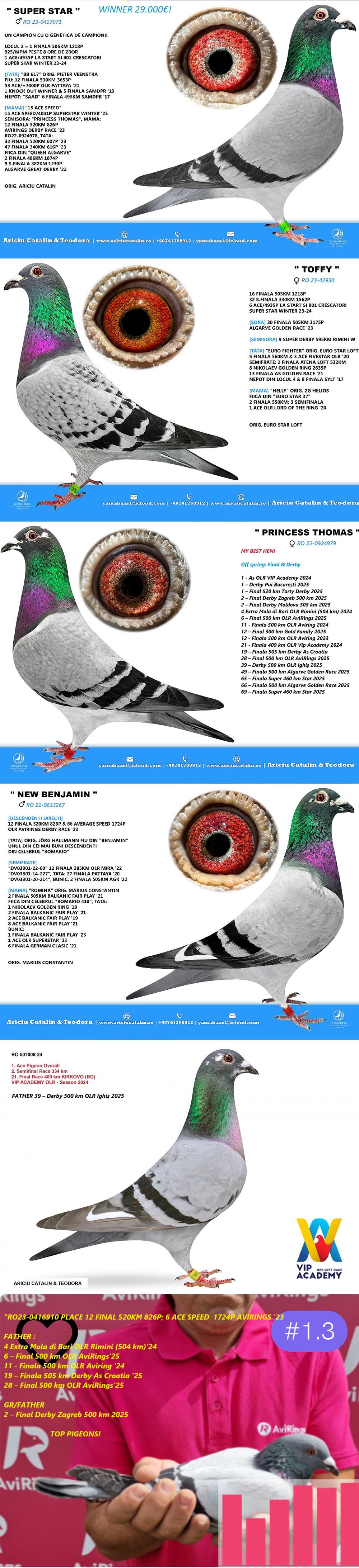 RO25-0280402 DİŞİ / DEDESİ SUPERTAR 1 AS GÜVERCİN  2 FİNAL 