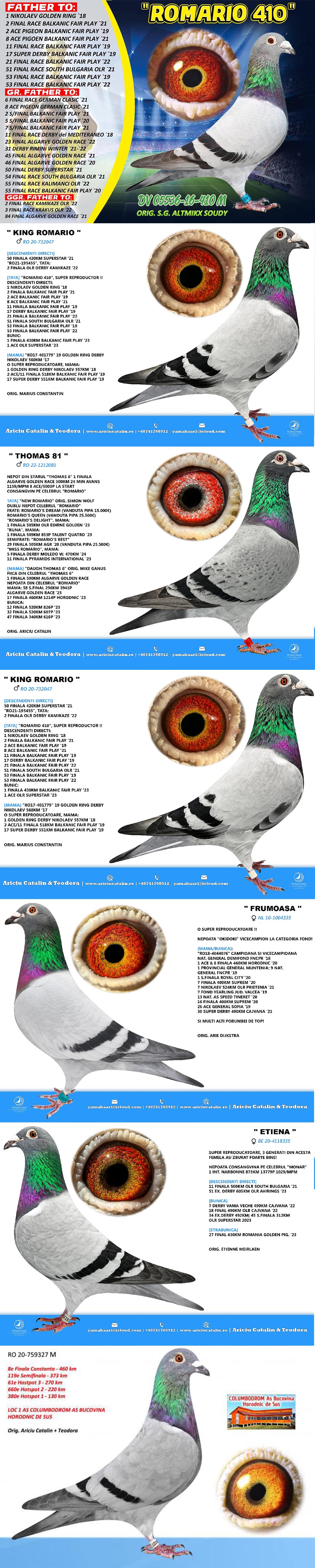 RO25-0280409 DİŞİ / ROMARIO - ARIE DJKSTRA - M ETIENNE