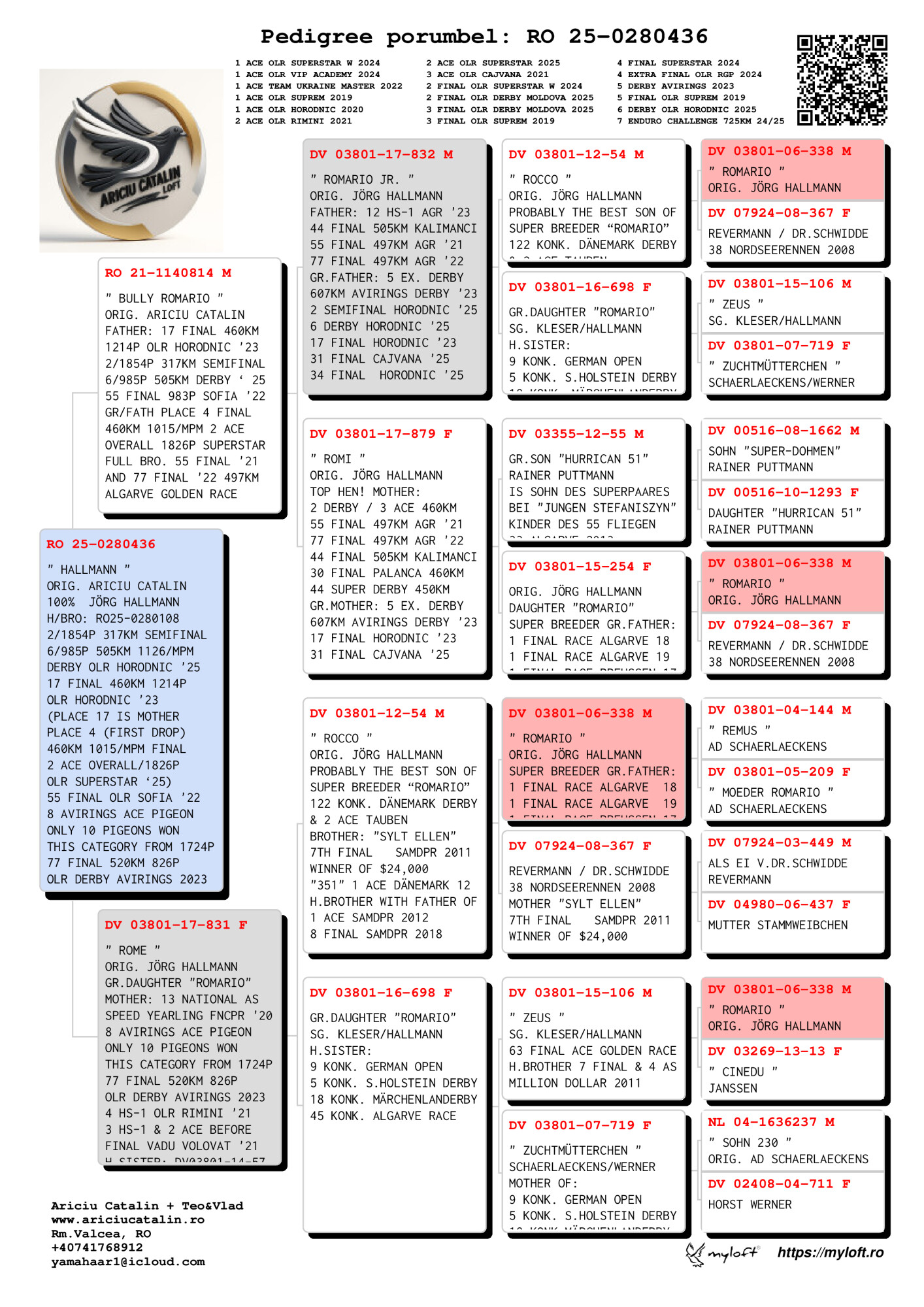 RO25-0280436 ERKEK / JORG HALLMAN % 100
