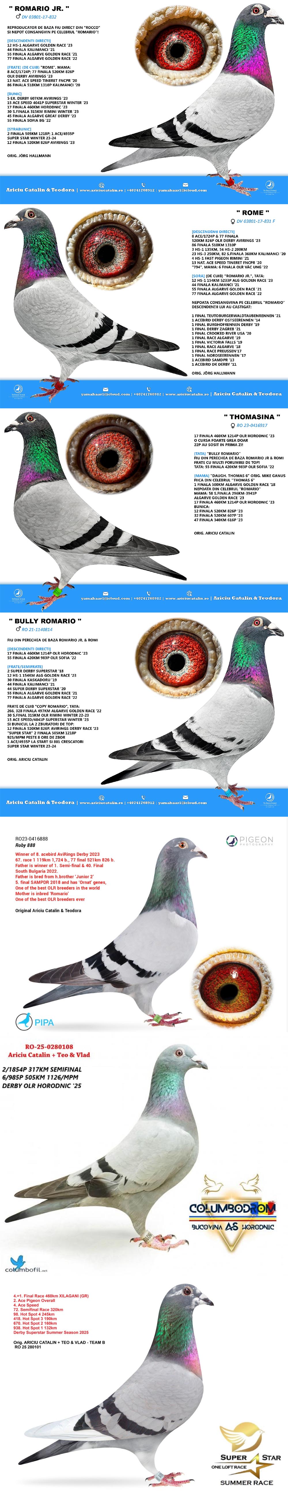 RO25-0280436 ERKEK / JORG HALLMAN % 100