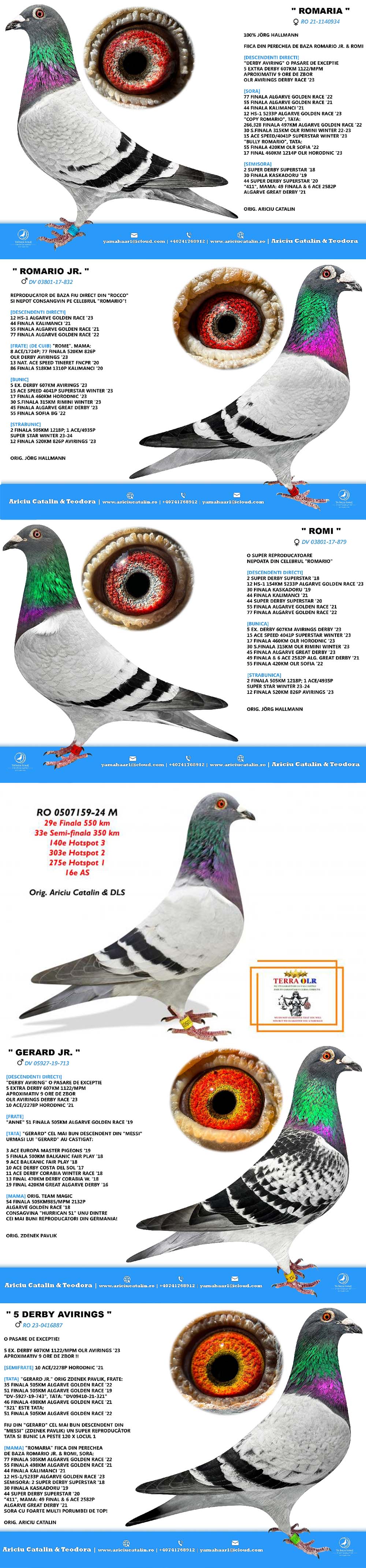 RO25-028292 DİŞİ / THE LEGACY - GERARD - ROMARIO 