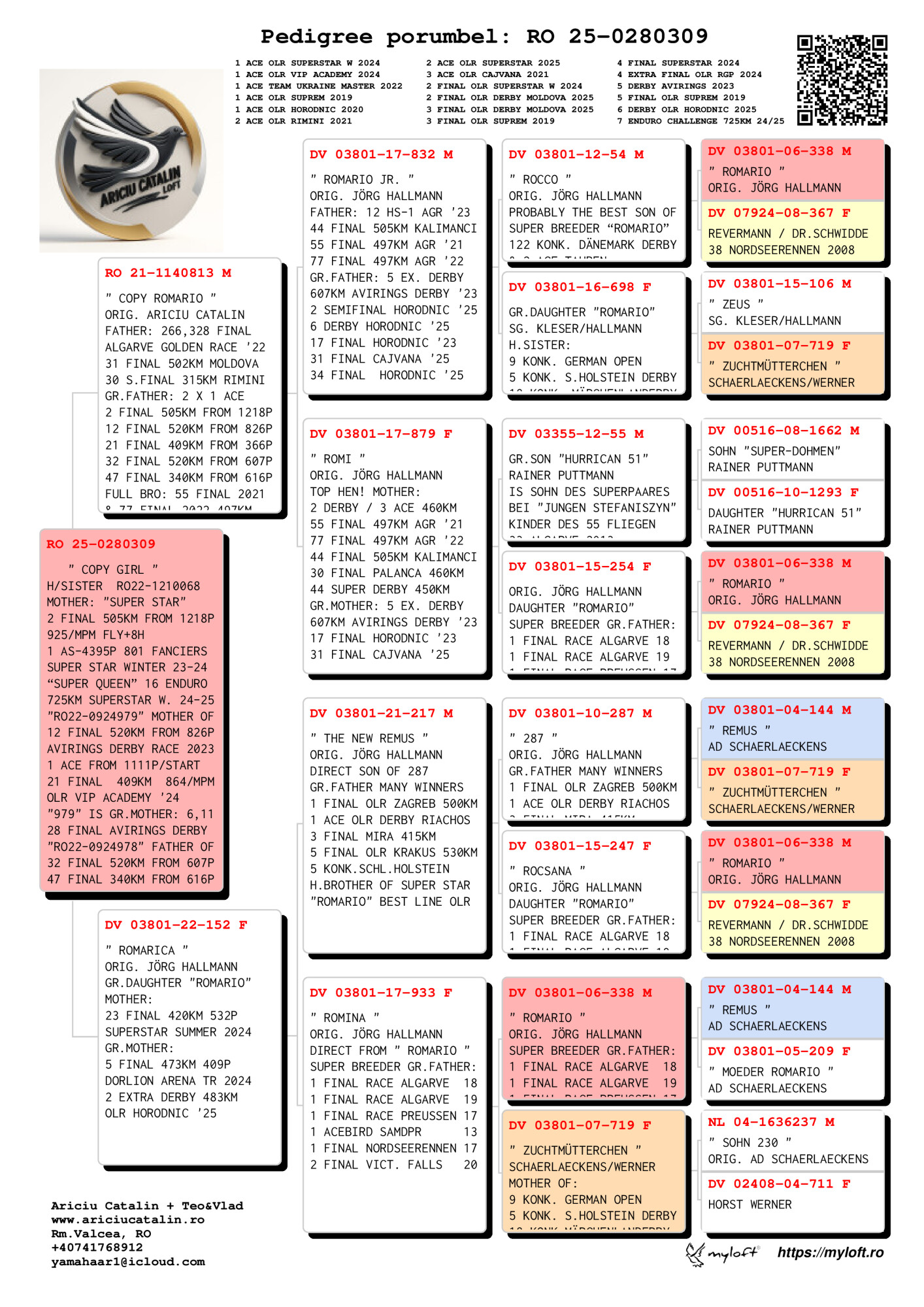 RO25-028309 DİŞİ / COPY GIRL - INBREED ROMARIO