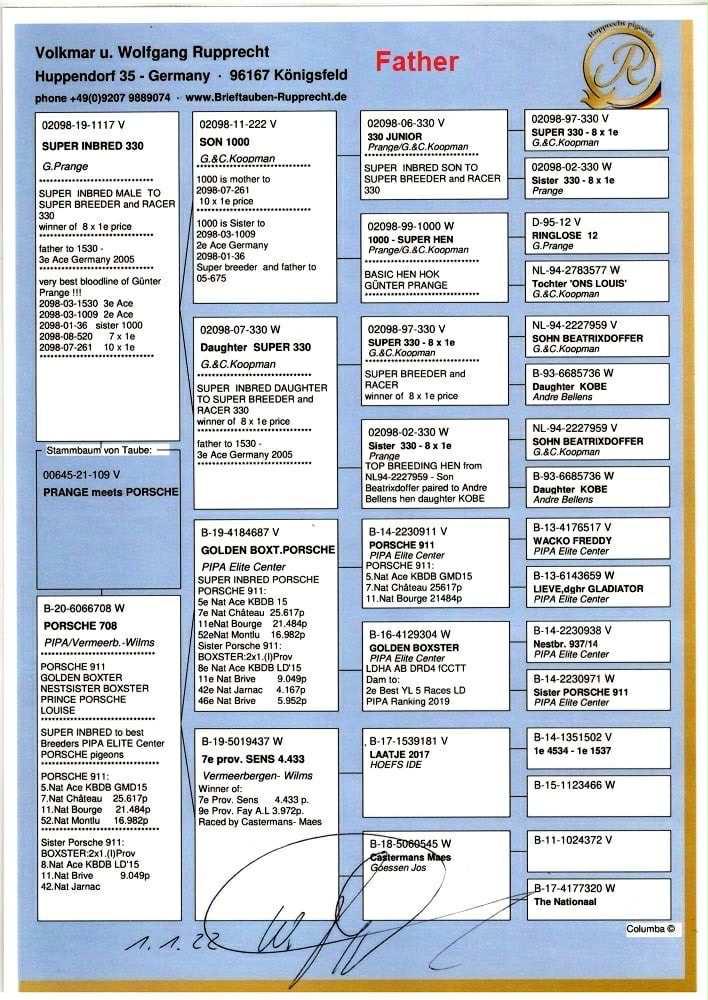SK1203-23-291 / KENDİSİ 222 FİNAL 505 KM