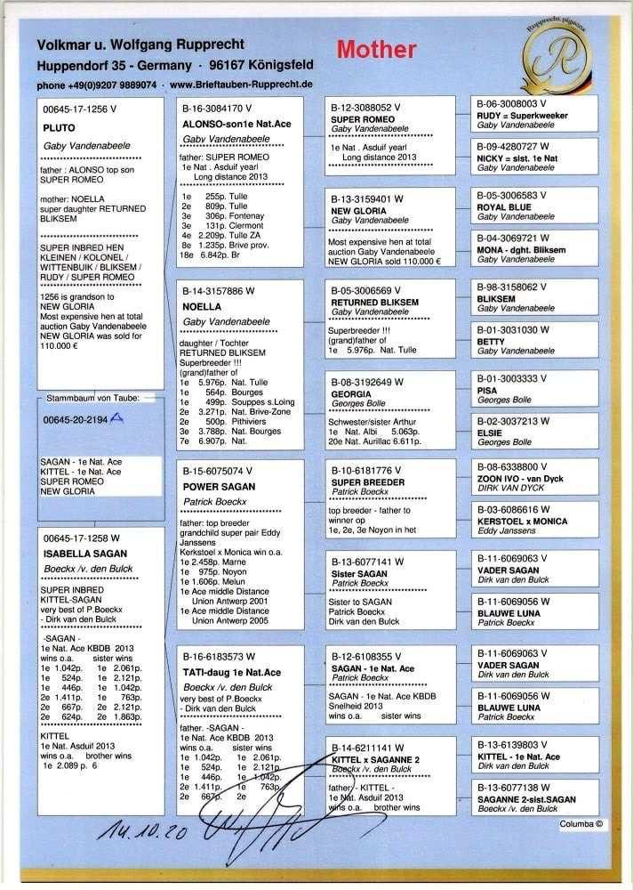 SK1203-23-291 / KENDİSİ 222 FİNAL 505 KM