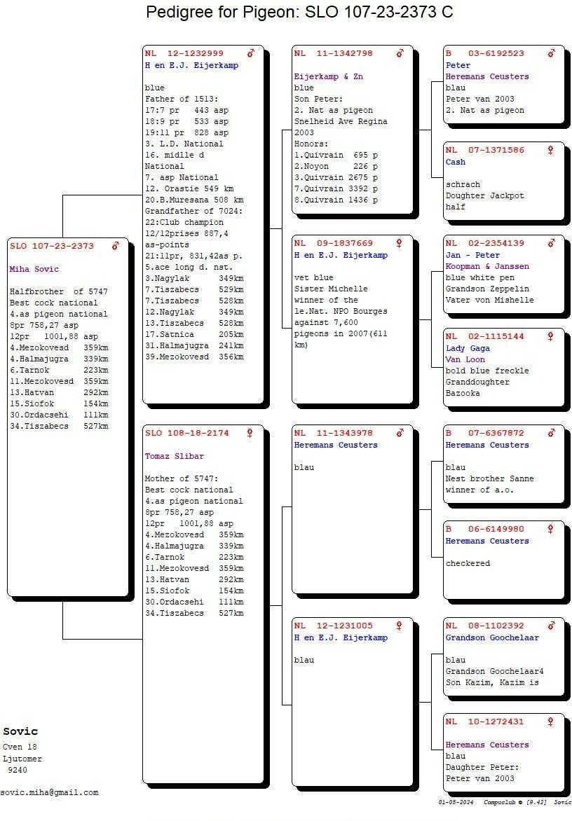 SLO107-23-2373 ERKEK / MIHA SOVIC