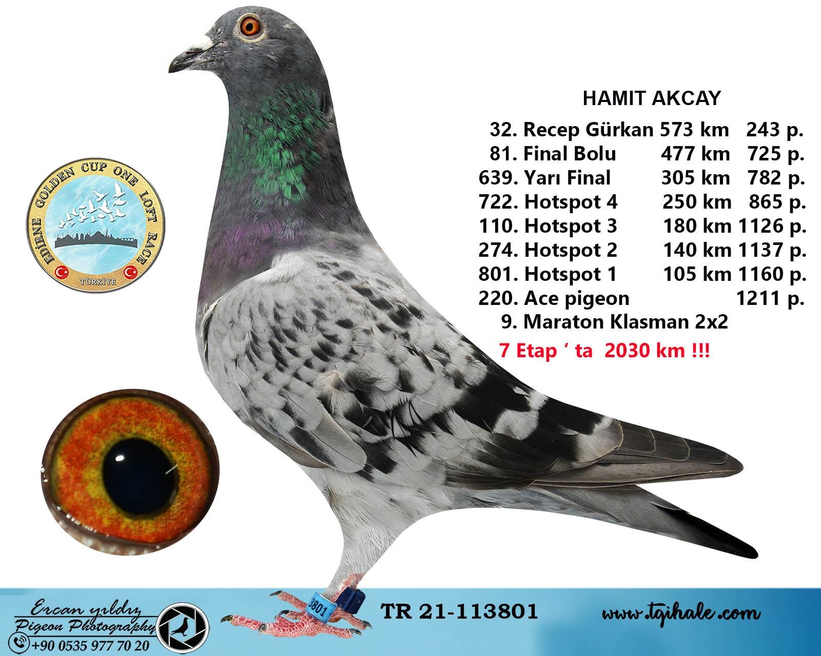 TR 22-35-00914 HAMİT AKÇAY / 233. FİNAL