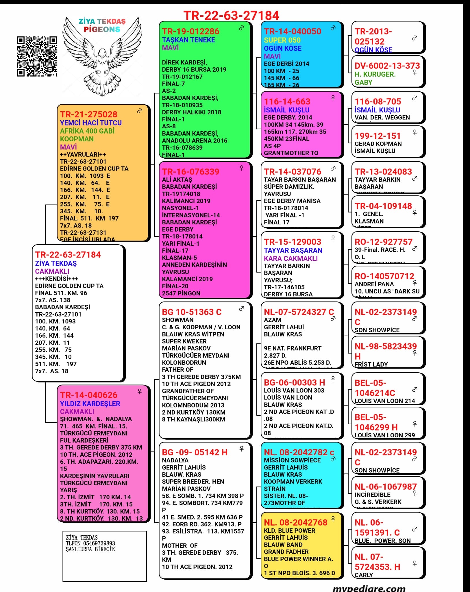 TR 22-63-27184   ZİYA SAİT APO   /  96. FİNAL 