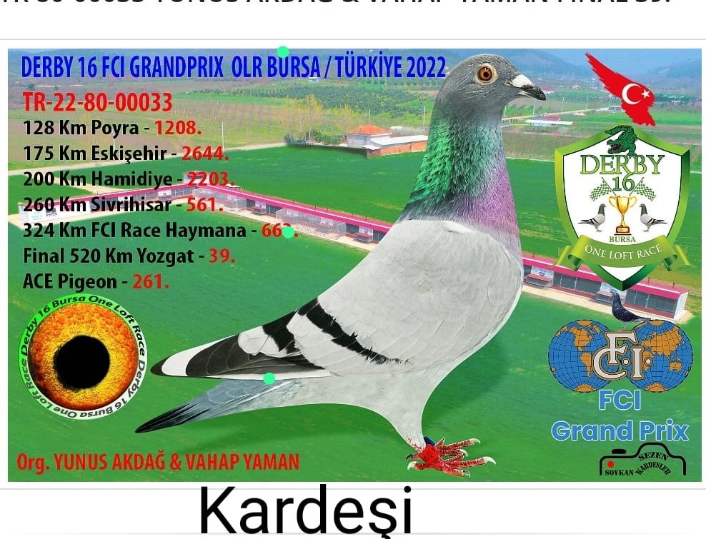 TR 22-80-00056   	YUNUS AKDAĞ_İBRAHİM KULUCA /  92.  FINAL