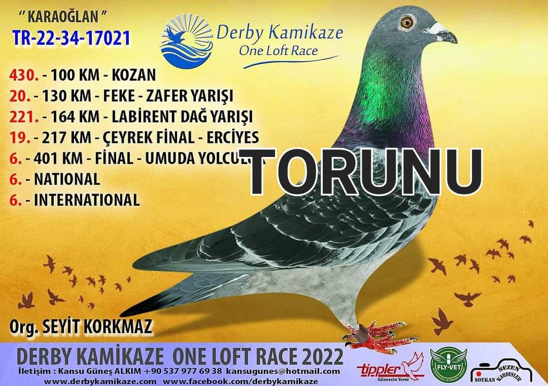 TR14-008446 ERKEK / İSMAİL NECİPOĞLU / KENDİSİ 31. FİNAL 450 KM EGE DERBY