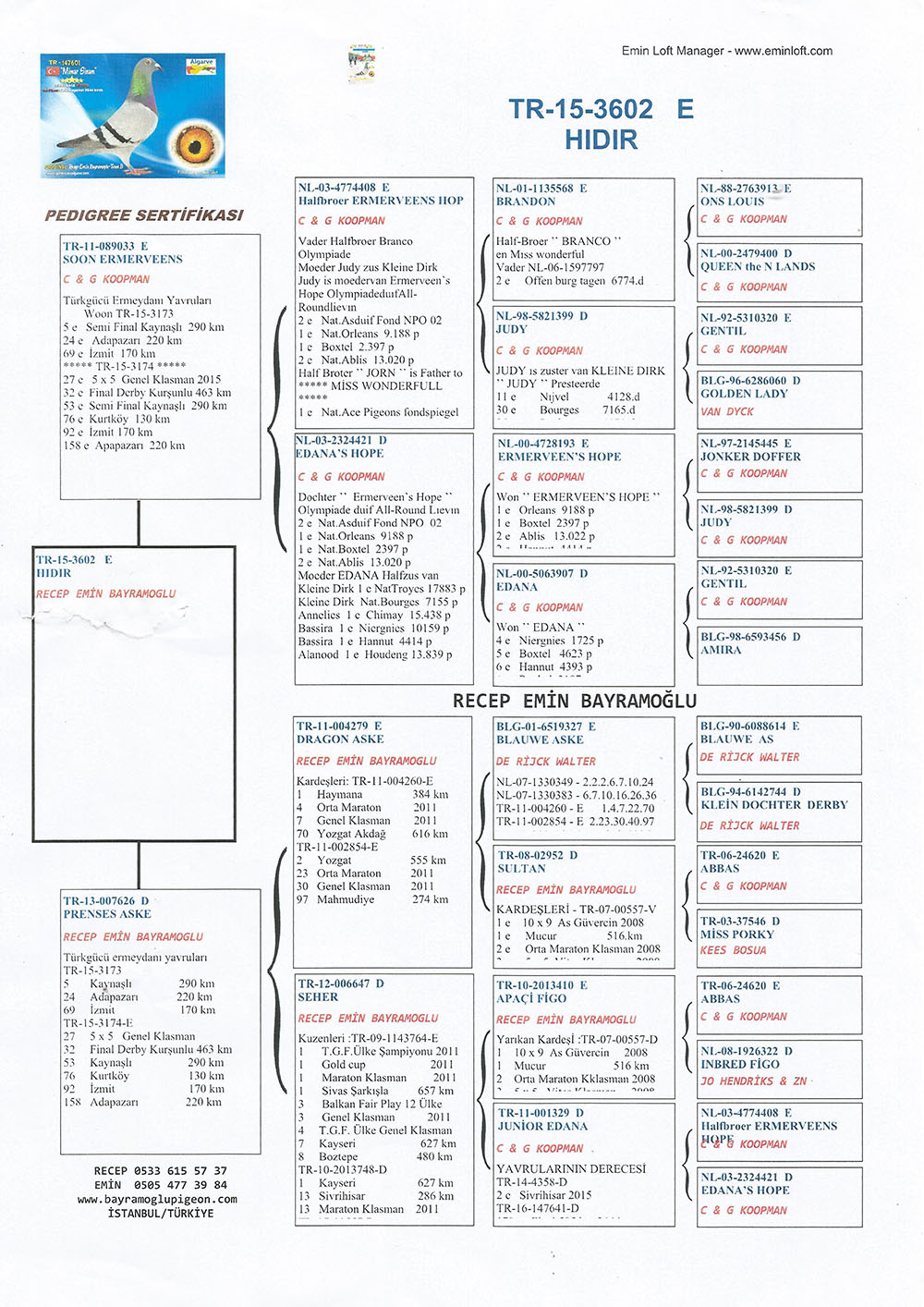 TR15-3602 ERKEK / ORJÇ RECEP EMİN BAYRAMOĞLU - KOOPMAN - DE RİCK WALTER