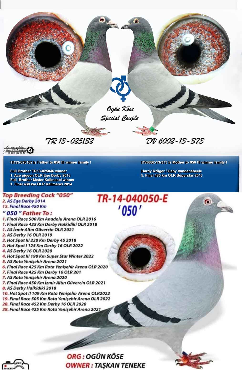 TR16-043061 DİŞİ / OGÜN KÖSE KENDİSİ 128. FİNAL NOVA ZAGORA - KARDEŞİ MEŞHUR 050