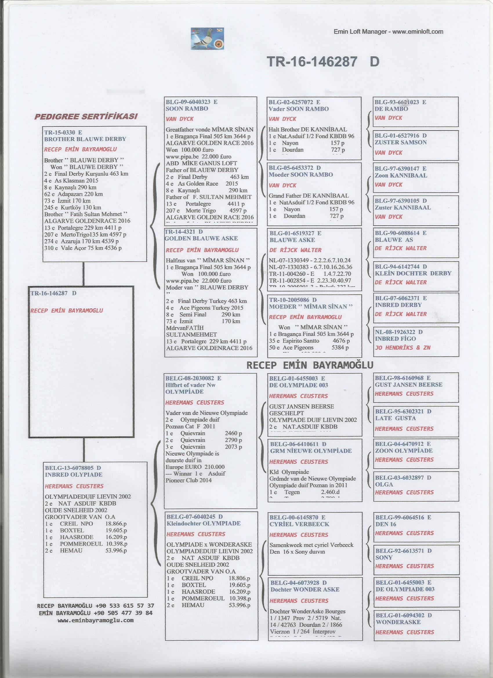 TR16-146287 DİŞİ /  BABASININ KARDEŞİ 2. FİNAL  ANNESİ LEO HEREMANS OLYMPİADE 003
