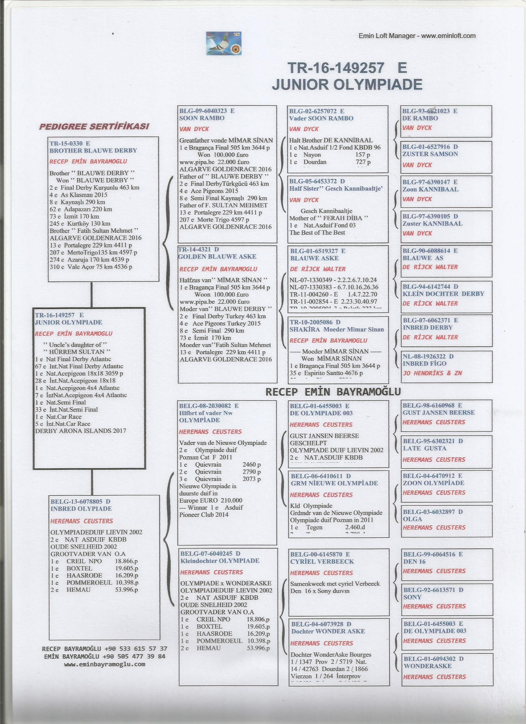 TR16-149257 ERKEK / BABASININ KARDEŞİ 2. FİNAL  ANNESİ ORİJİNAL LEO HEREMANS 