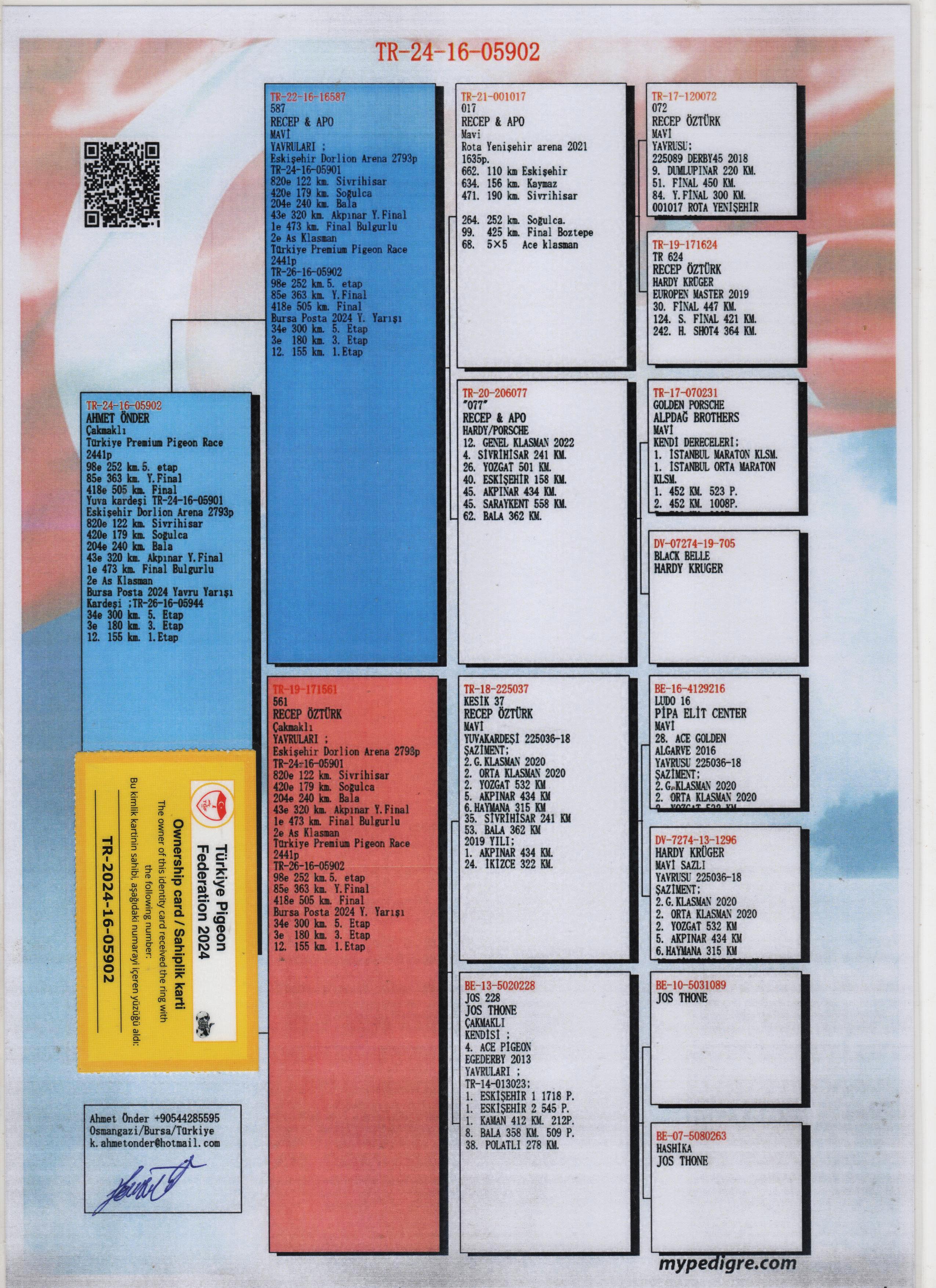 TR16-24-05902  ERKEK / KENDİSİ YARIŞMIŞ YUMURTA KARDEŞİ 1 FİNAL - 2 ACE PIGEON