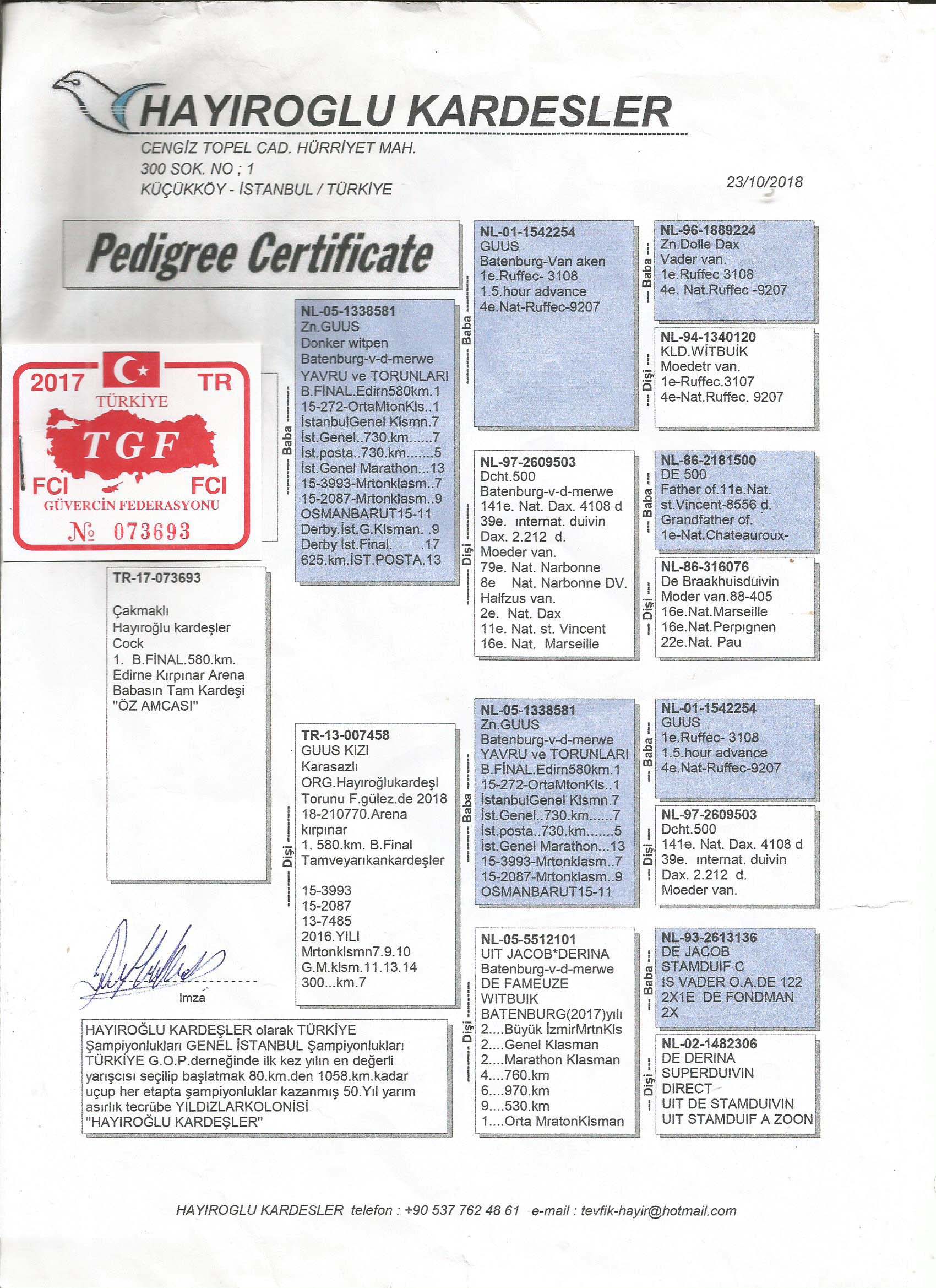 TR17-073693 ERKEK / Hayıroğlu Kardeşler-  GUS INBREED MARATON 