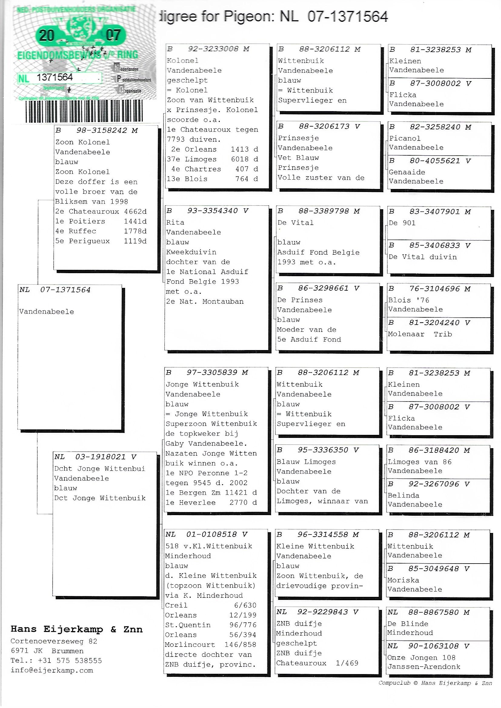 TR17-110868 ERKEK BABASI KOOPMAN % 100  ANNESİ GABY VANDENABEELE % 100