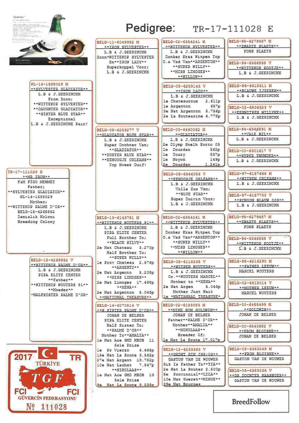 TR17-111028 ERKKE /  BABA GEERINCKX % 100 ANNE PİPA ELİTE CENTER 
