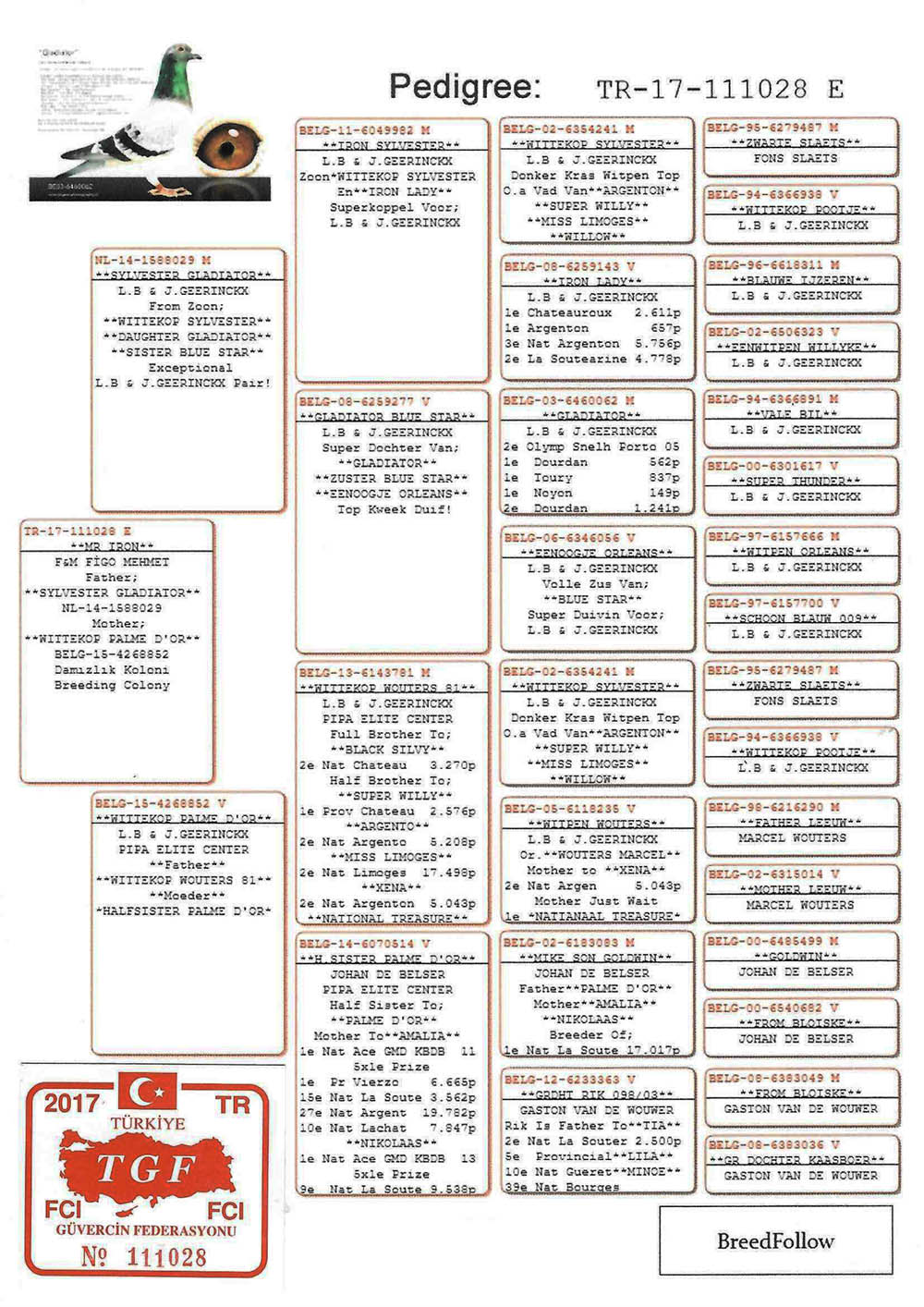 TR17-111028 ERKKE /  BABA GEERINCKX % 100 ANNE PİPA ELİTE CENTER 