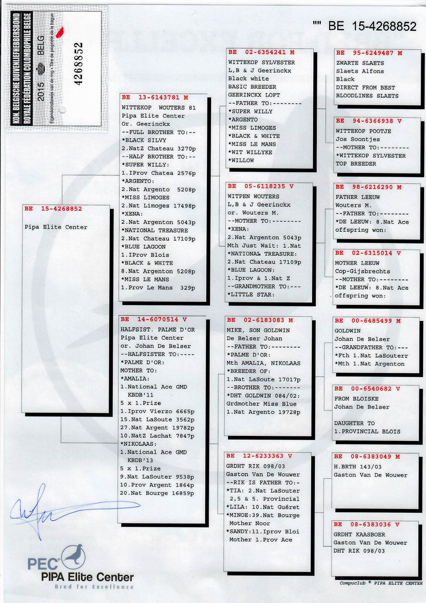 TR17-111068 DİŞİ /  BABASI GEERINCKX % 100 ANNESİ PİPA ELİTE CENTER ORİJİNAL