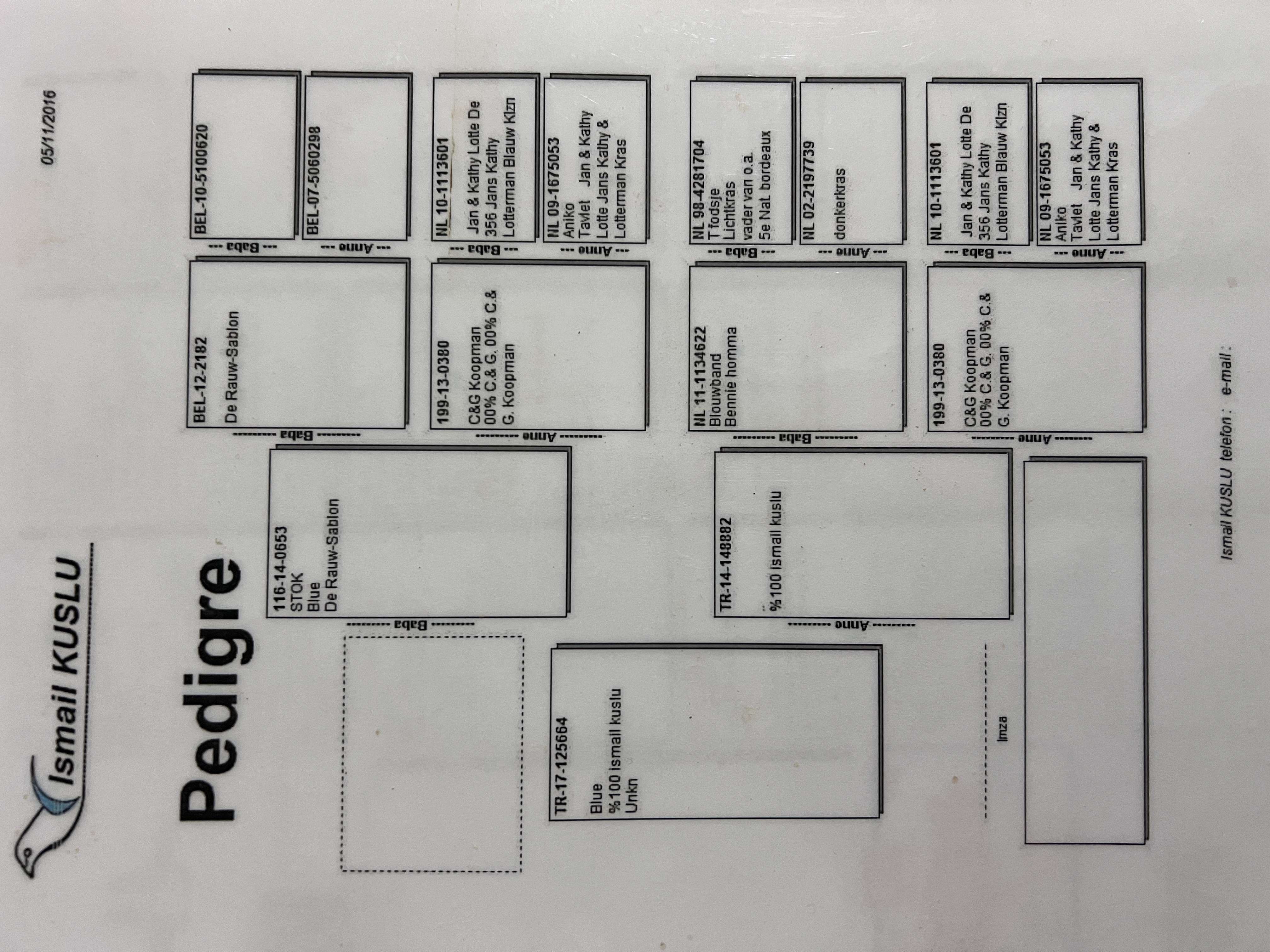 TR17-125664 / İSMAİL KUSLU 