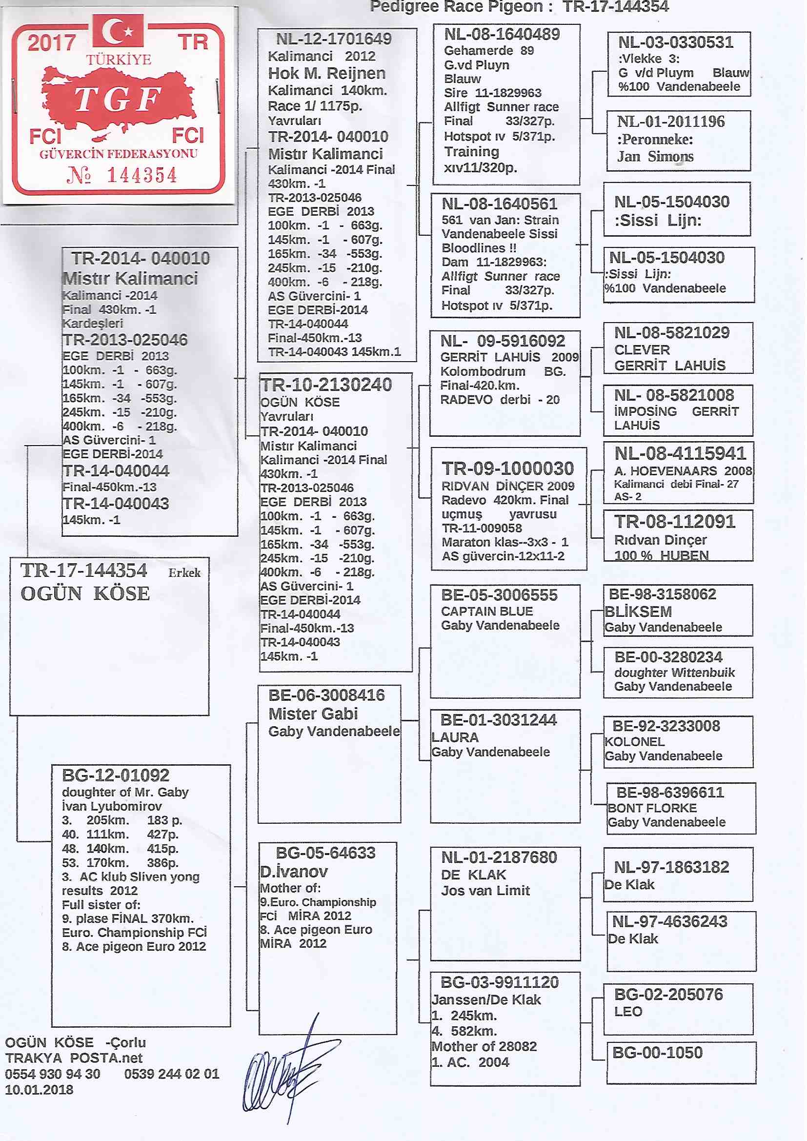 TR17-144354 ERKEK / MISTER KALIMANCI OĞLU 