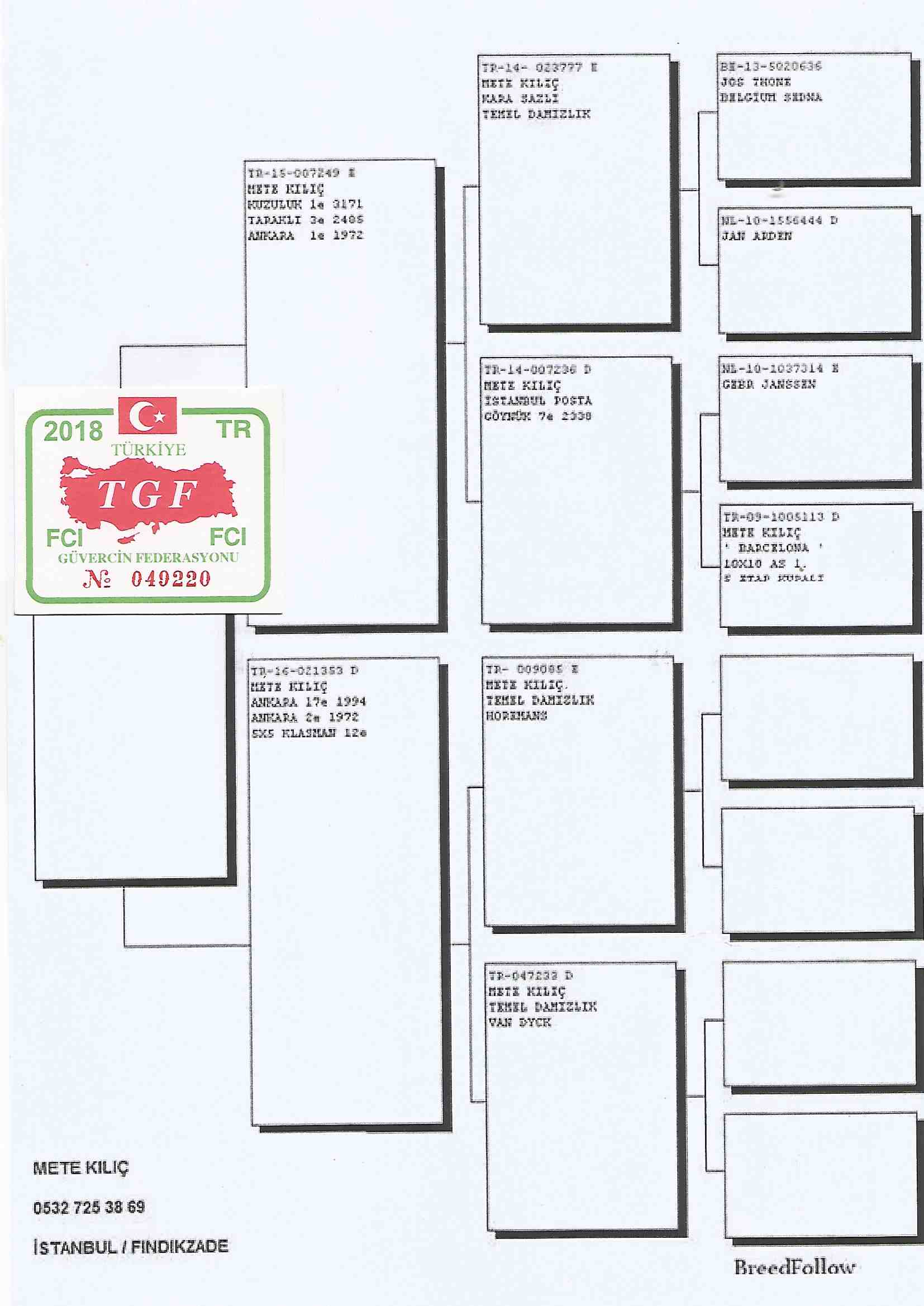 TR18-049220 DİŞİ  / METE KILIÇ  BABASI 2 X 1ST  ANNESİ 2. ANKARA