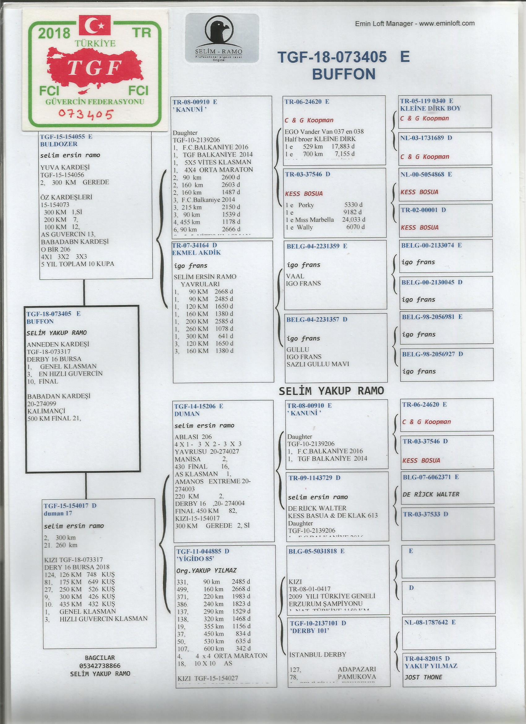 TR18-073405 ERKEK ANNEDEN KARDEŞİ 1. GENEL KLASMAN 3.HIZLI GÜVERCİN 