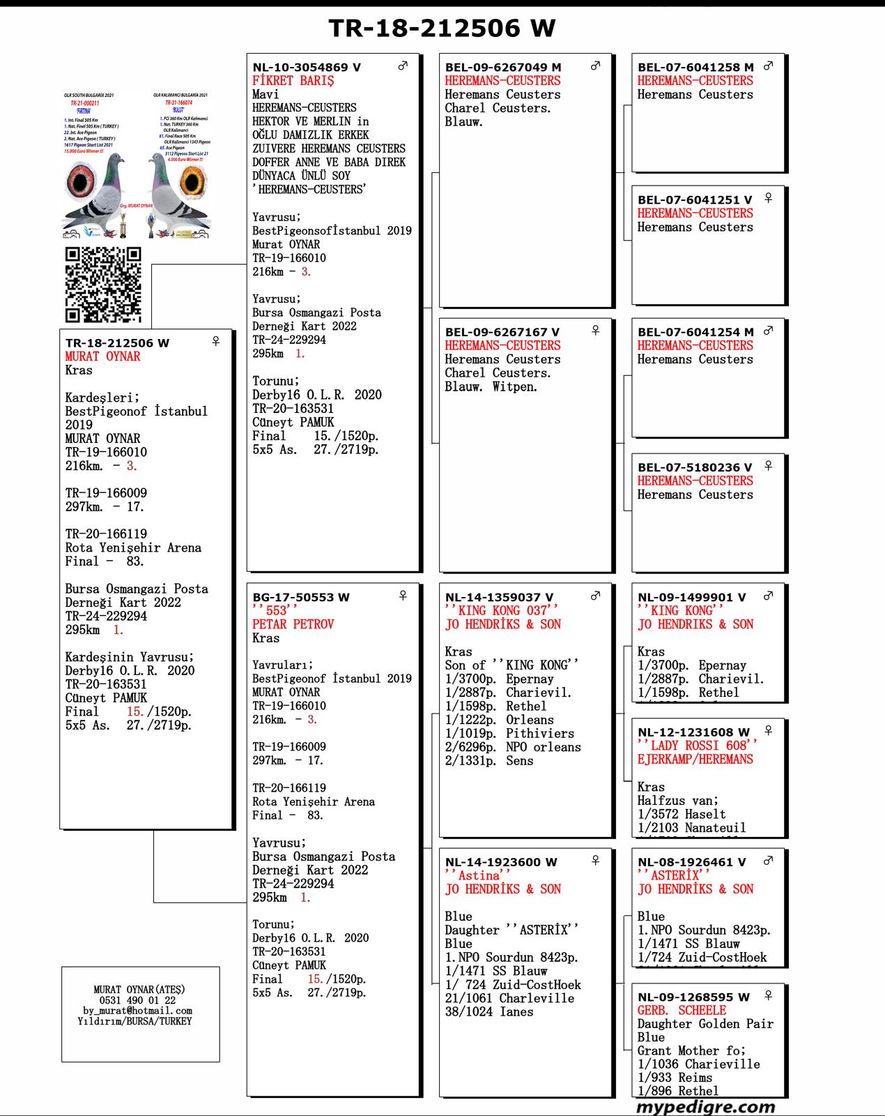 TR18-212506 DİŞİ / TORUNU  Güneydoğu Arena 2025 Final 20 / As 14.