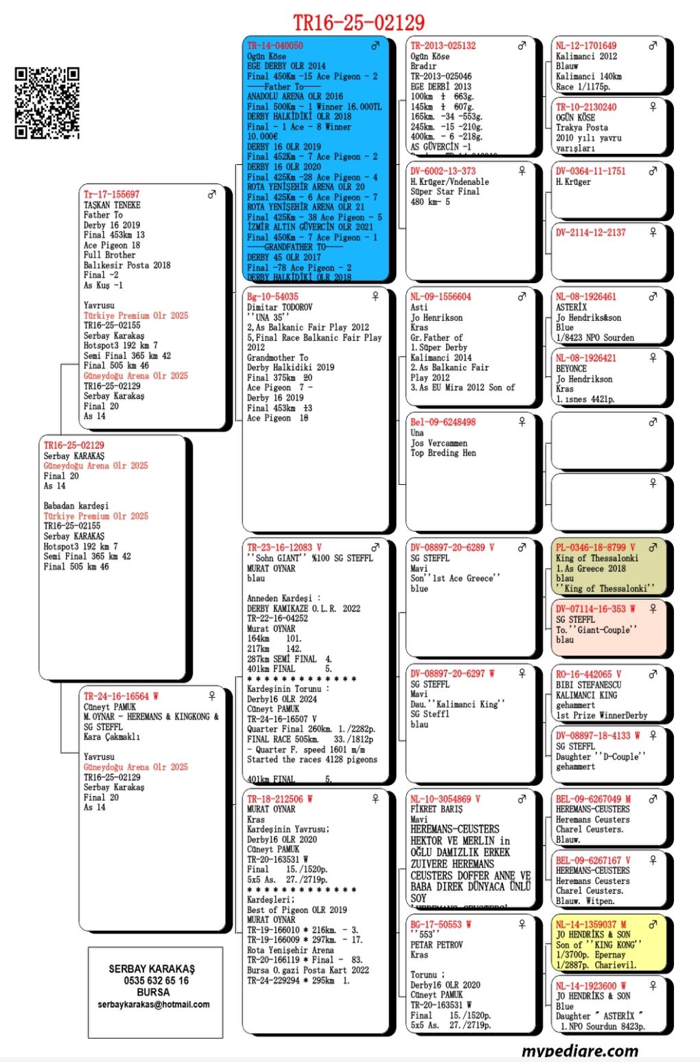 TR18-212506 DİŞİ / TORUNU  Güneydoğu Arena 2025 Final 20 / As 14.