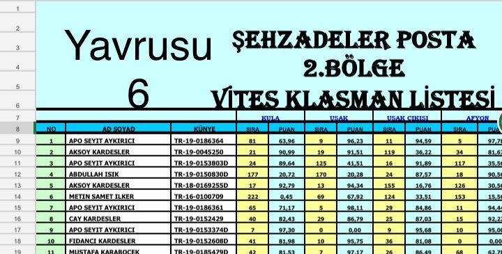 TR18-32098 ERKEK / ISMET ALTINTAS ANNESİ ORJ VAN DYCK