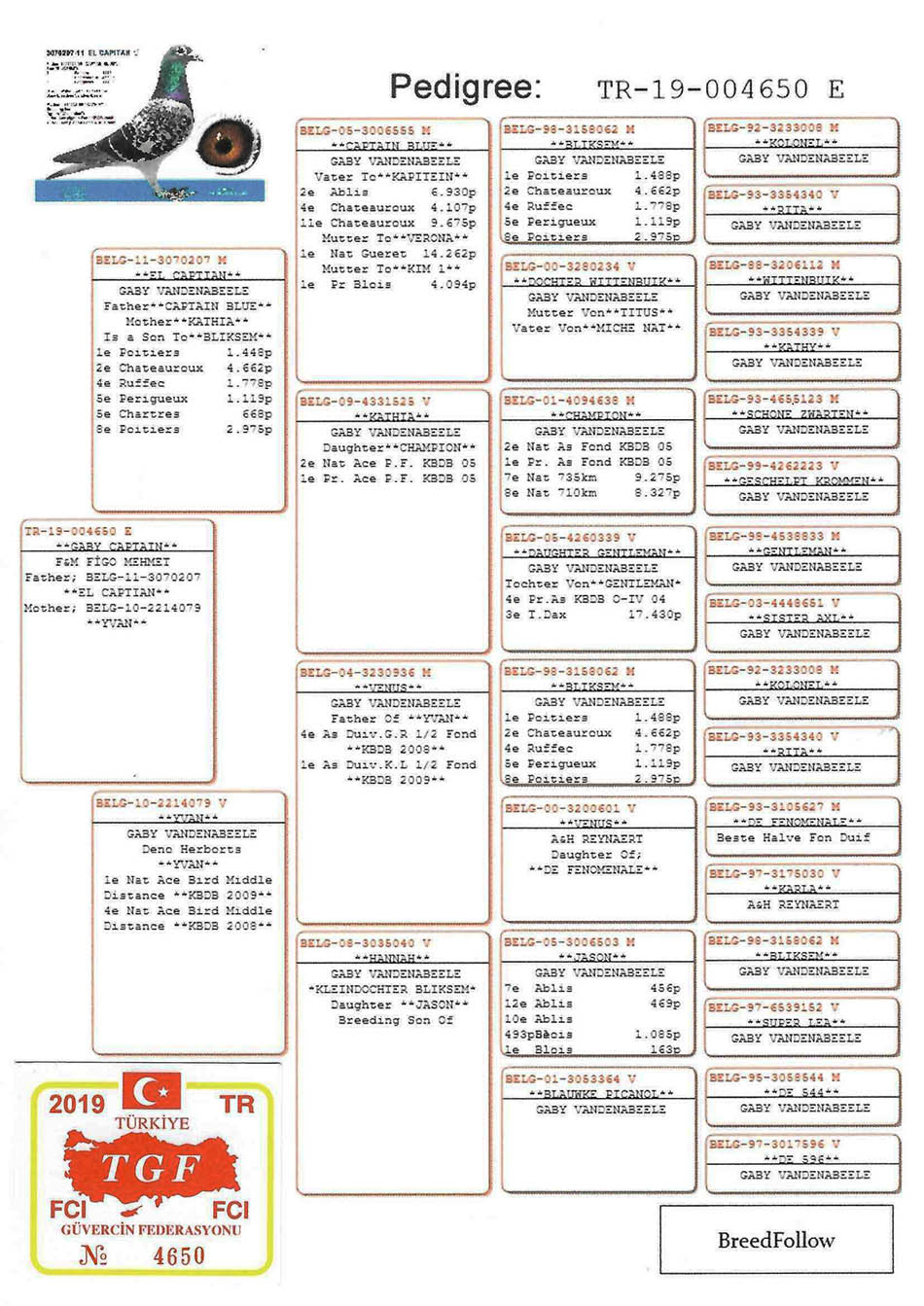 TR19-004650 ERKEK / GABY VANDENABEELE % 100 ANNEDEN KARDES 26. FİNAL SOFİA