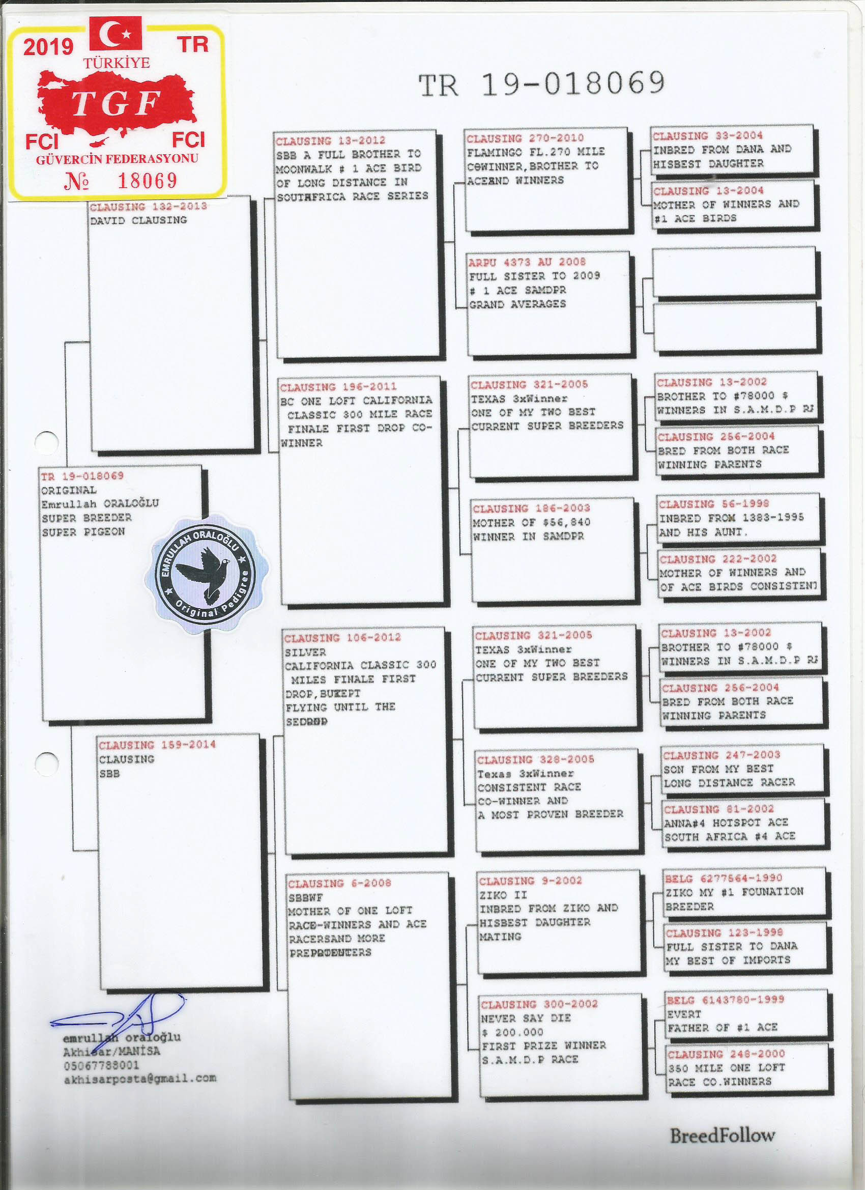 TR19-018069 DİŞİ / EMRULLAH ORALOĞLU - CLAUSİNG % 100 YAVRUSU AS 6 FİNAL 24