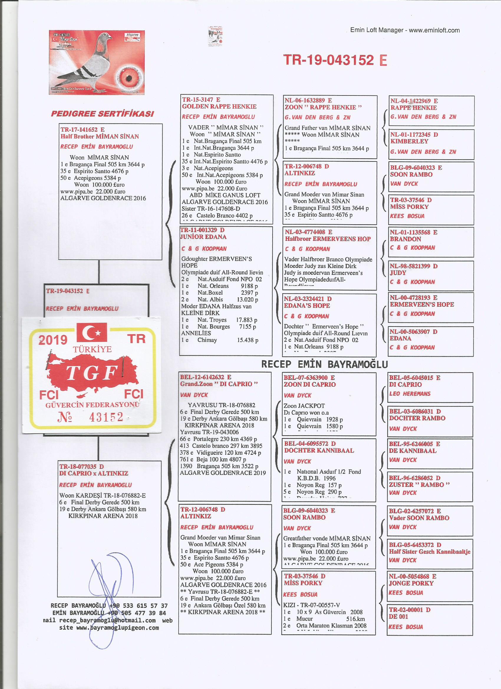 TR19-043152 ERKEK / BABASININ YARIM KARDEŞİ MIMAR SINAN - 1 FİNAL ALGARVE GOLDEN RACE