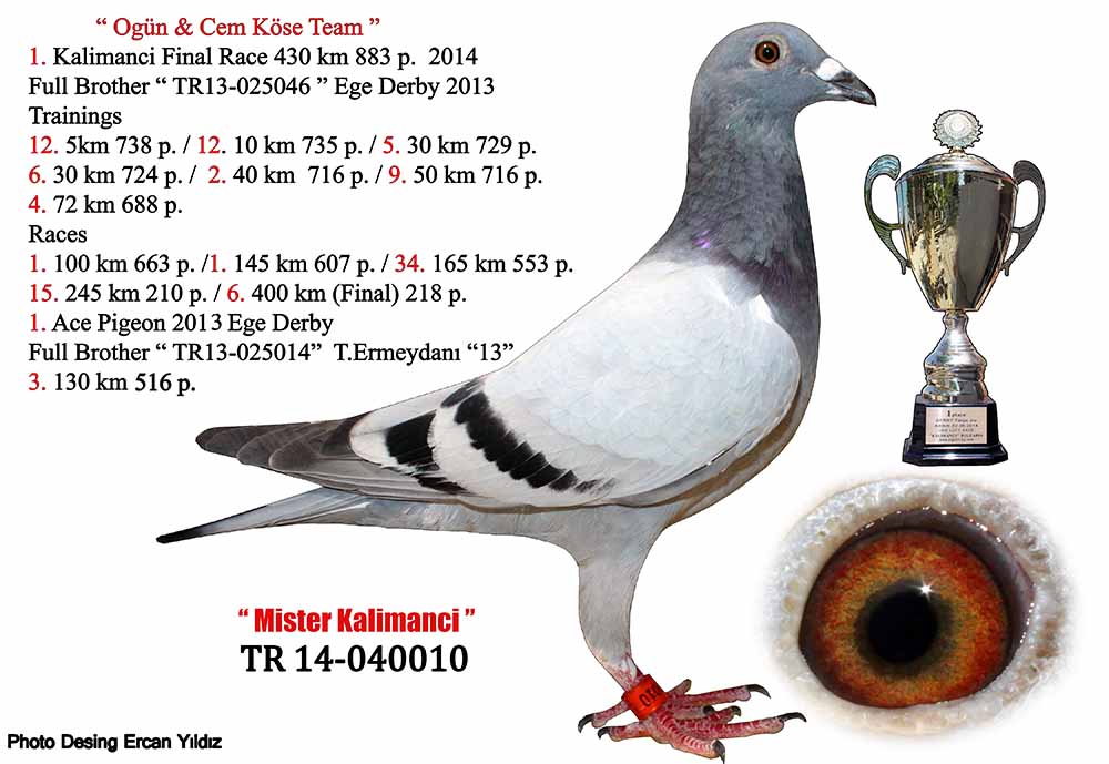 TR19-059112 DİŞİ / KENDİSİ YARIŞMIŞTIR 4.  133 KM   -   18.   163 KM