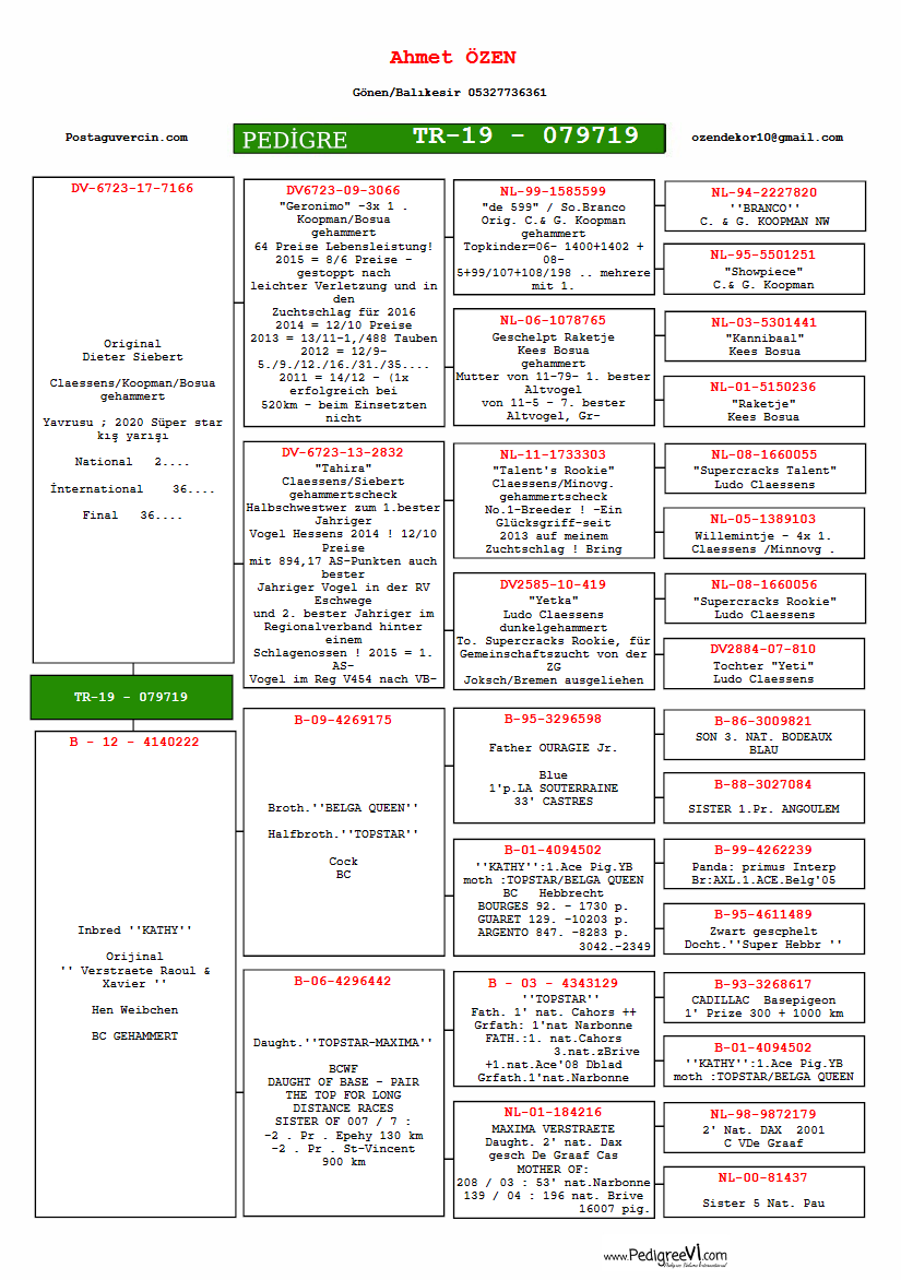 TR19-079719 DİŞİ / ORJ AHMET ÖZEN  BABADAN KARDEŞİ 36. FİNAL 508 KM OLR WİNTER SÜPERSTAR