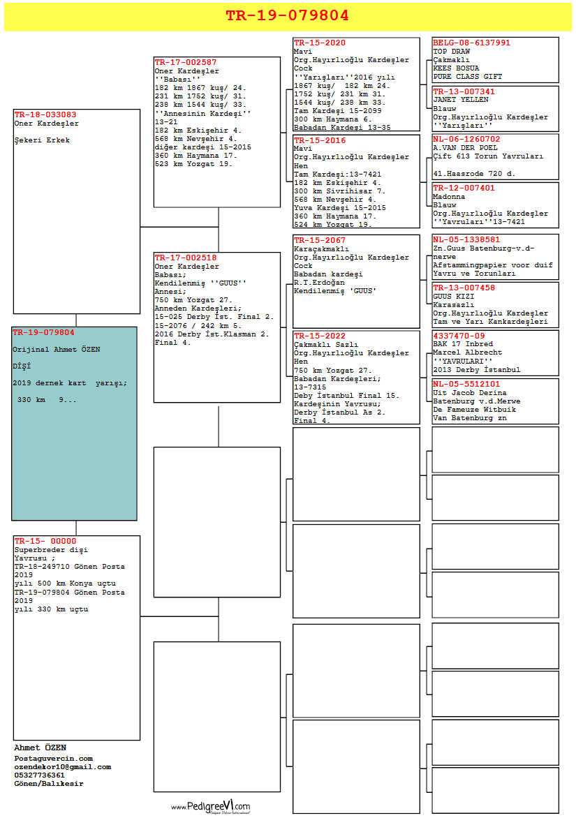 TR19-079804 DİŞİ /  ORJ AHMET ÖZEN  KENDİSİ  9. 330 KM GÖNEN KART YARISI