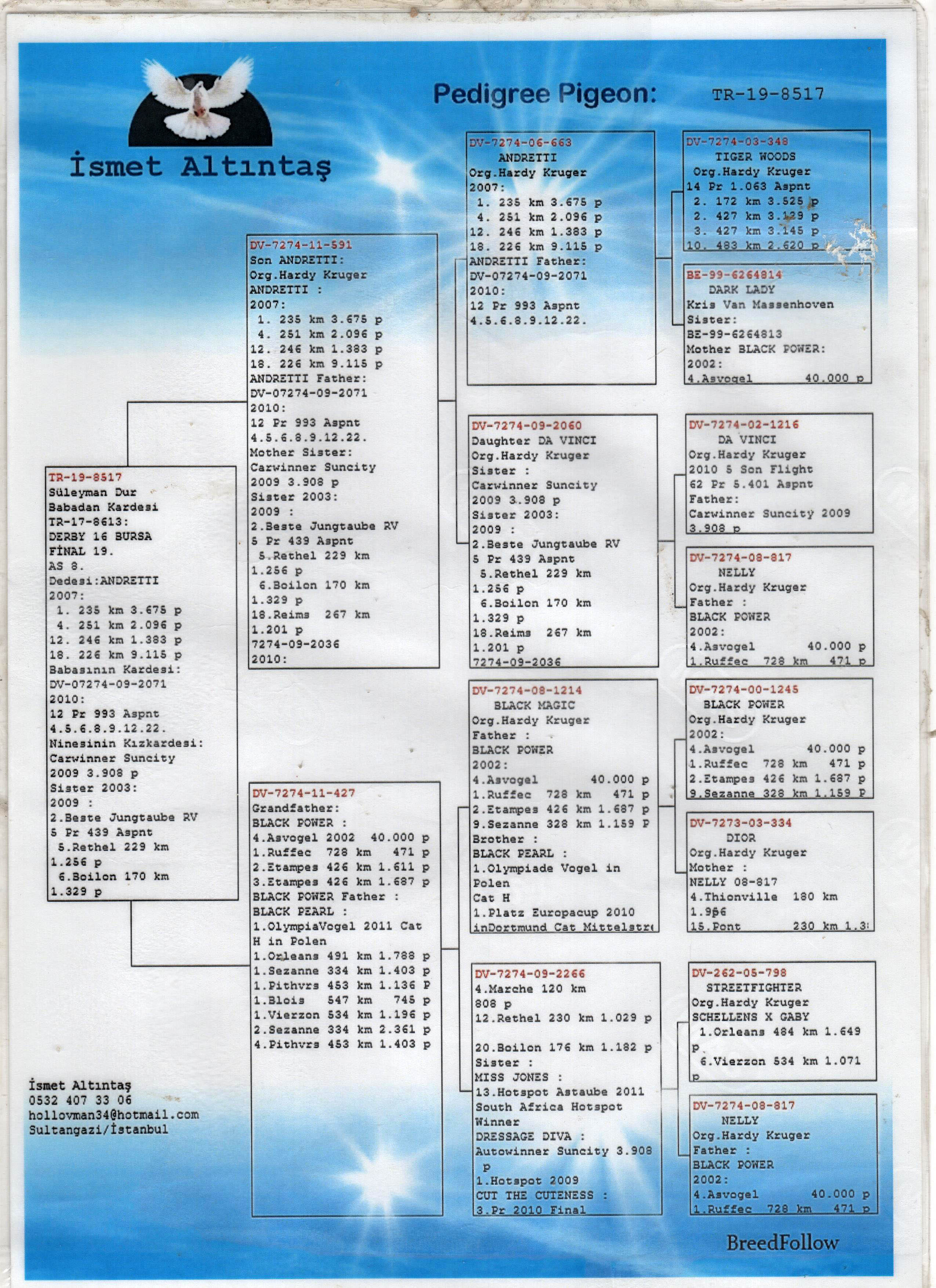 TR19-08517 ERKEK / HARDY KRUGER % 100