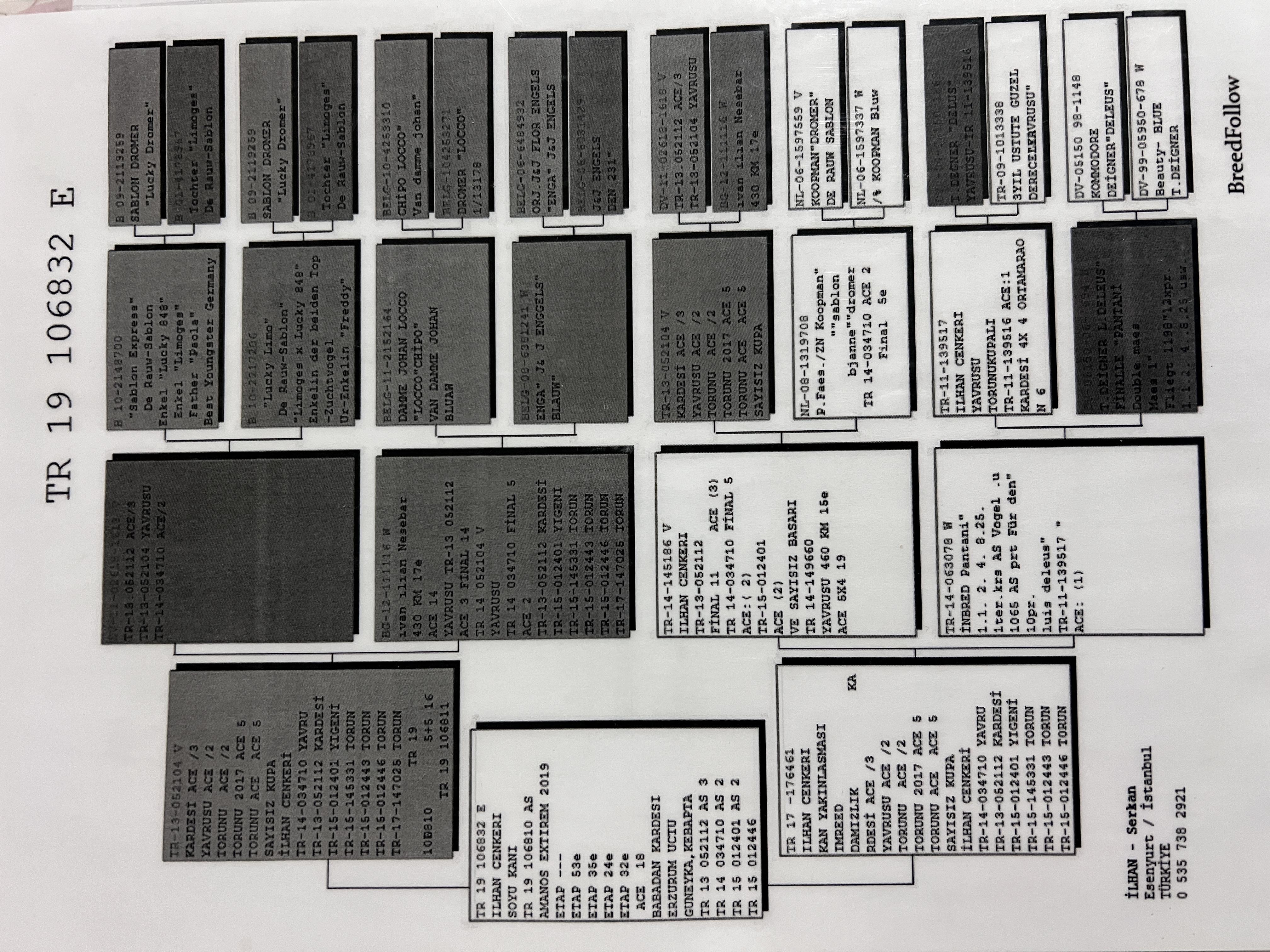 TR19-106832 ERKEK / ILHAN CENKERI