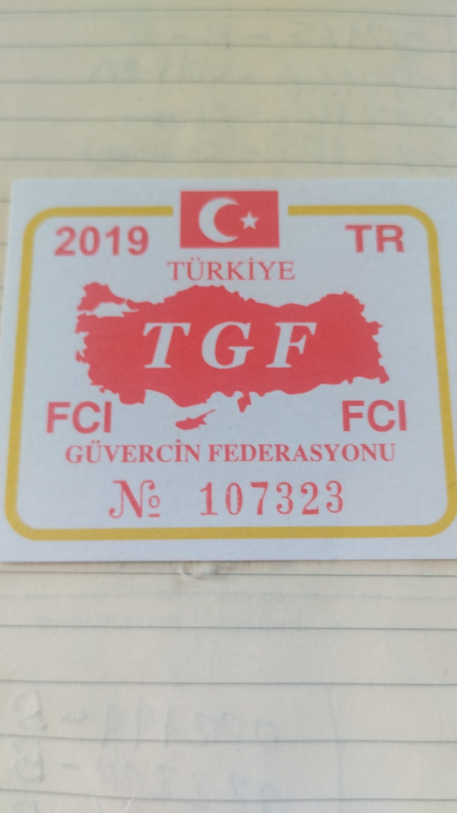 TR19-107323 DİŞİ / 1. ÖZEL YARIS 585 KM & 12. AS GÜVERCİN 