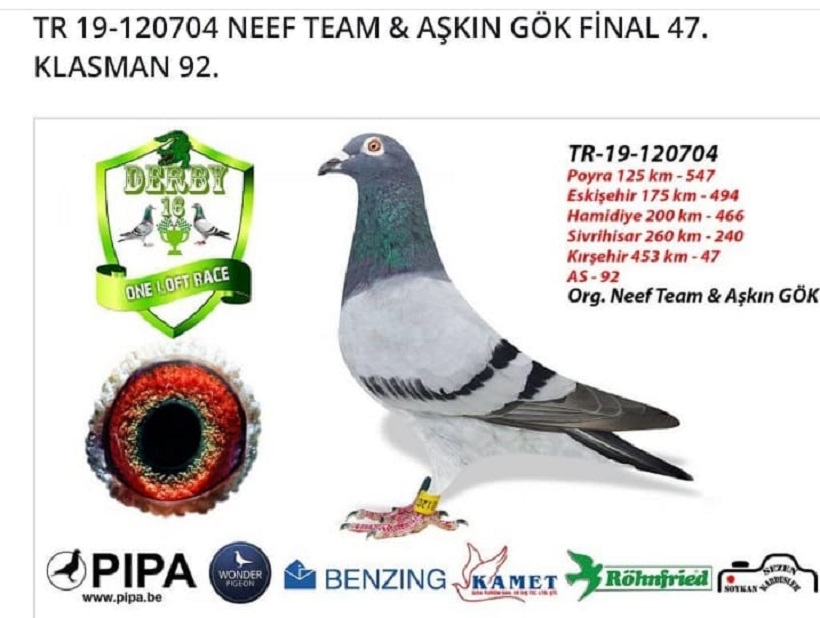 TR19-120704 ERKEK - KENDİSİ 47. FİNAL 453 KM OLR DERBY 16 2019