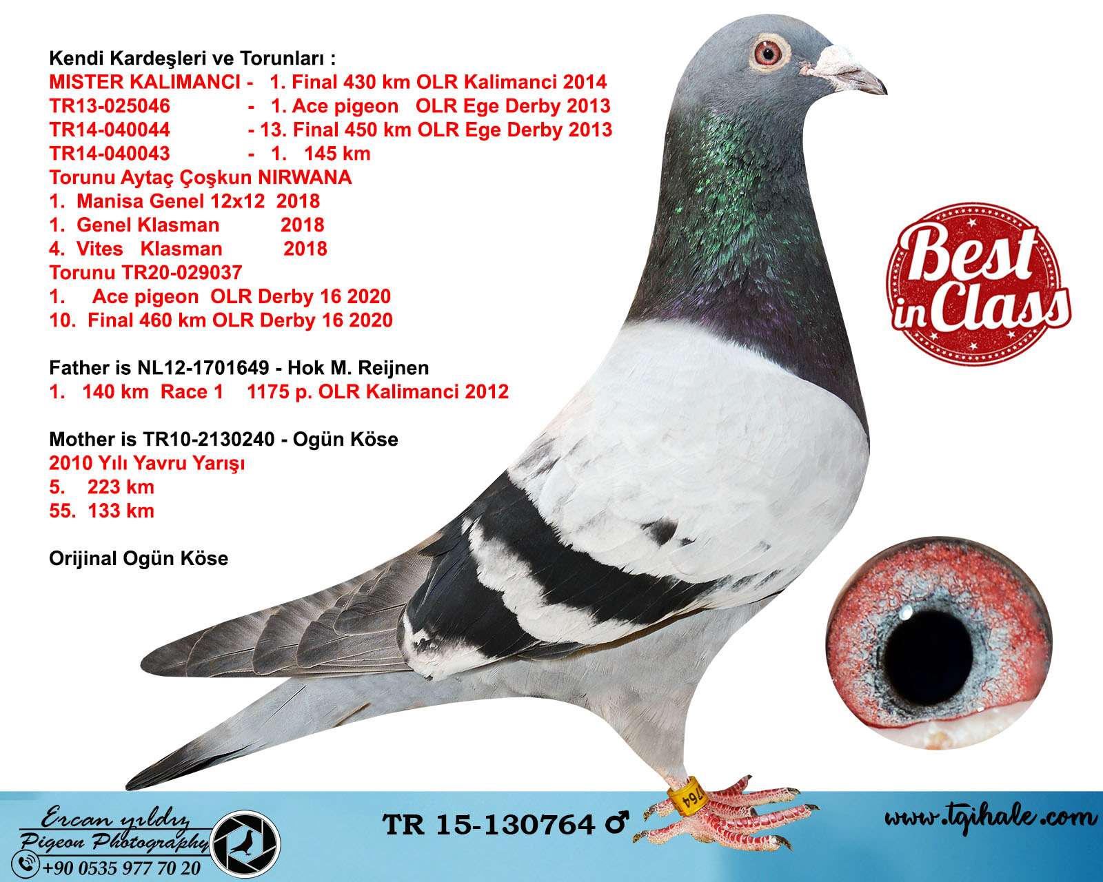 TR19-132641 ERKEK/  BABADAN KARDEŞİ NİRWANA 1. GENEL KLASMAN 12X12