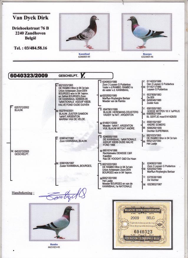 TR19-132654 ERKEK / TAM KARDESİ  4. 123 KM  3152 P.   -  3.  165 KM  2280 P.