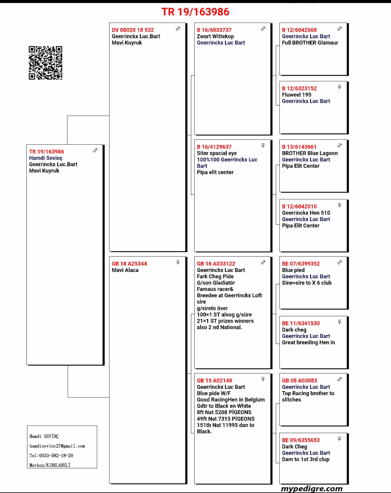 TR19-163986 ERKEK /GEERINCKX 