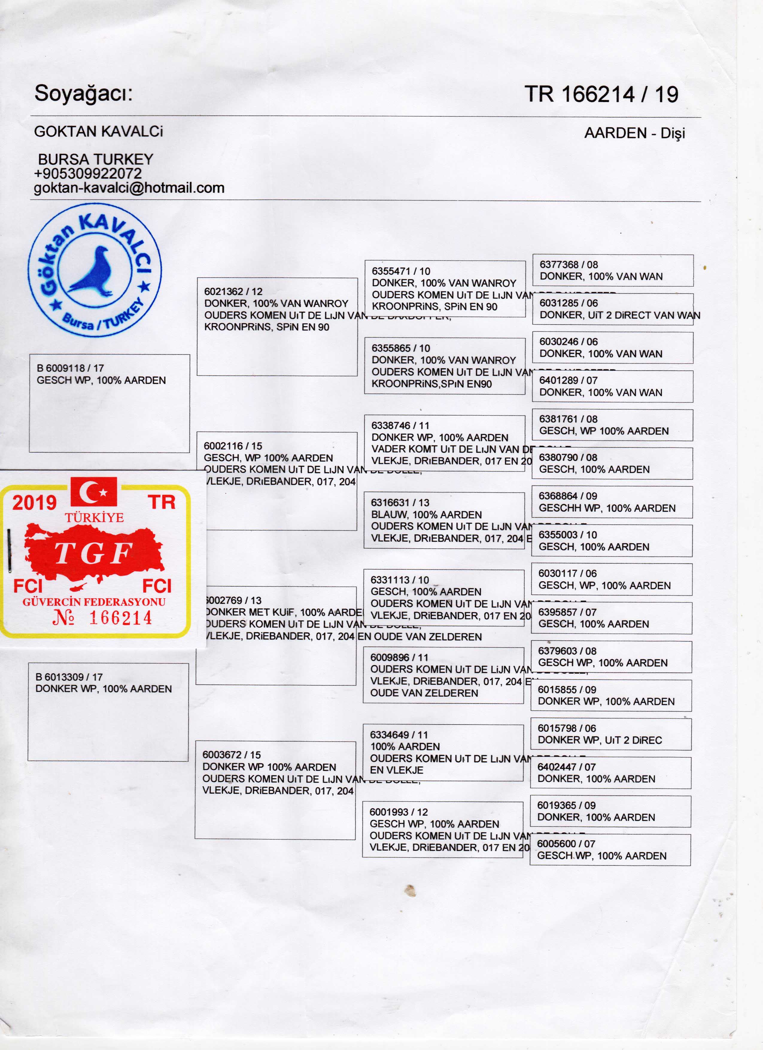 TR19-166214 DİŞİ / JAN AARDEN % 100