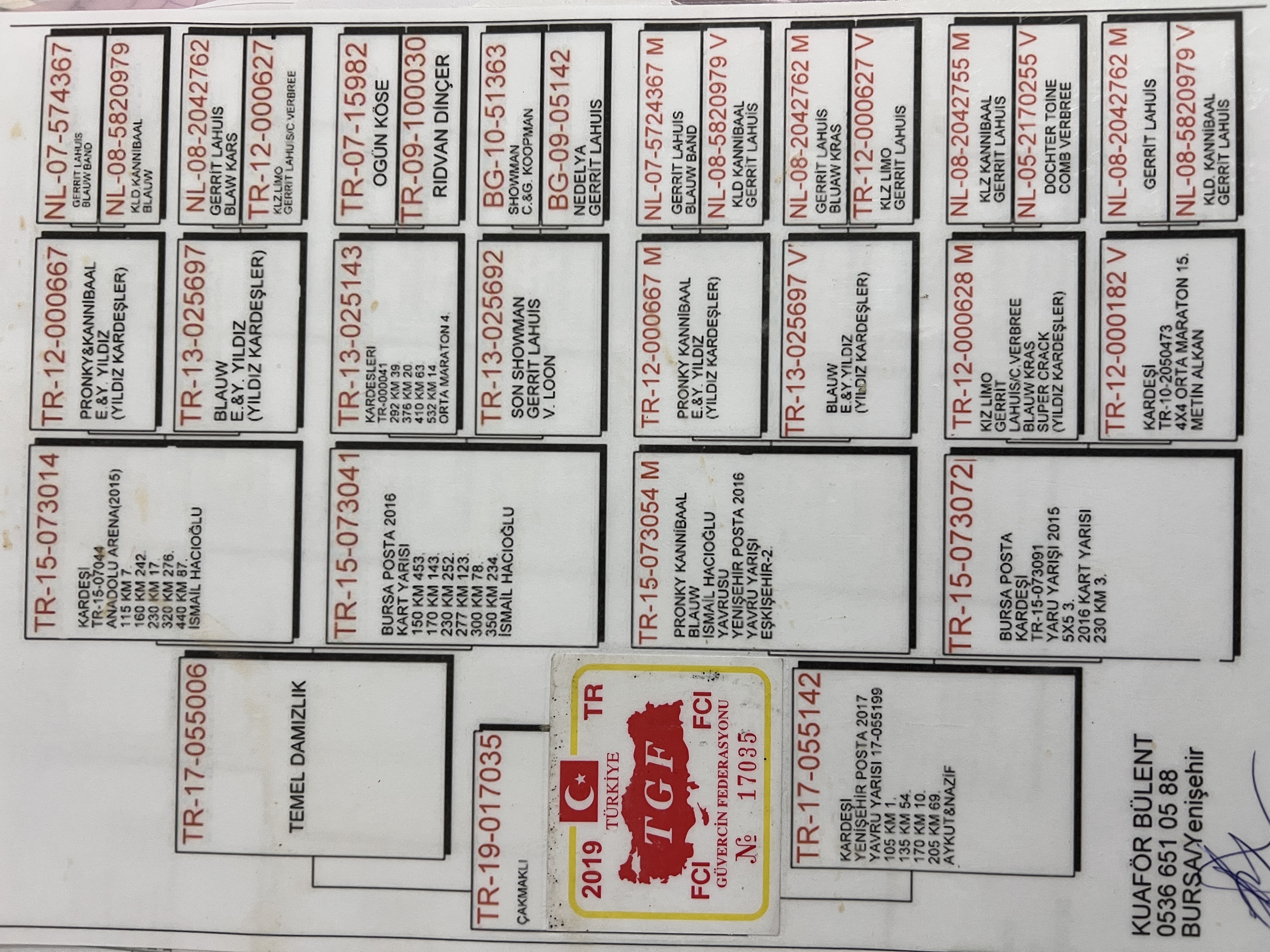 TR19-17035 DİŞİ / KUAFOR BÜLENT