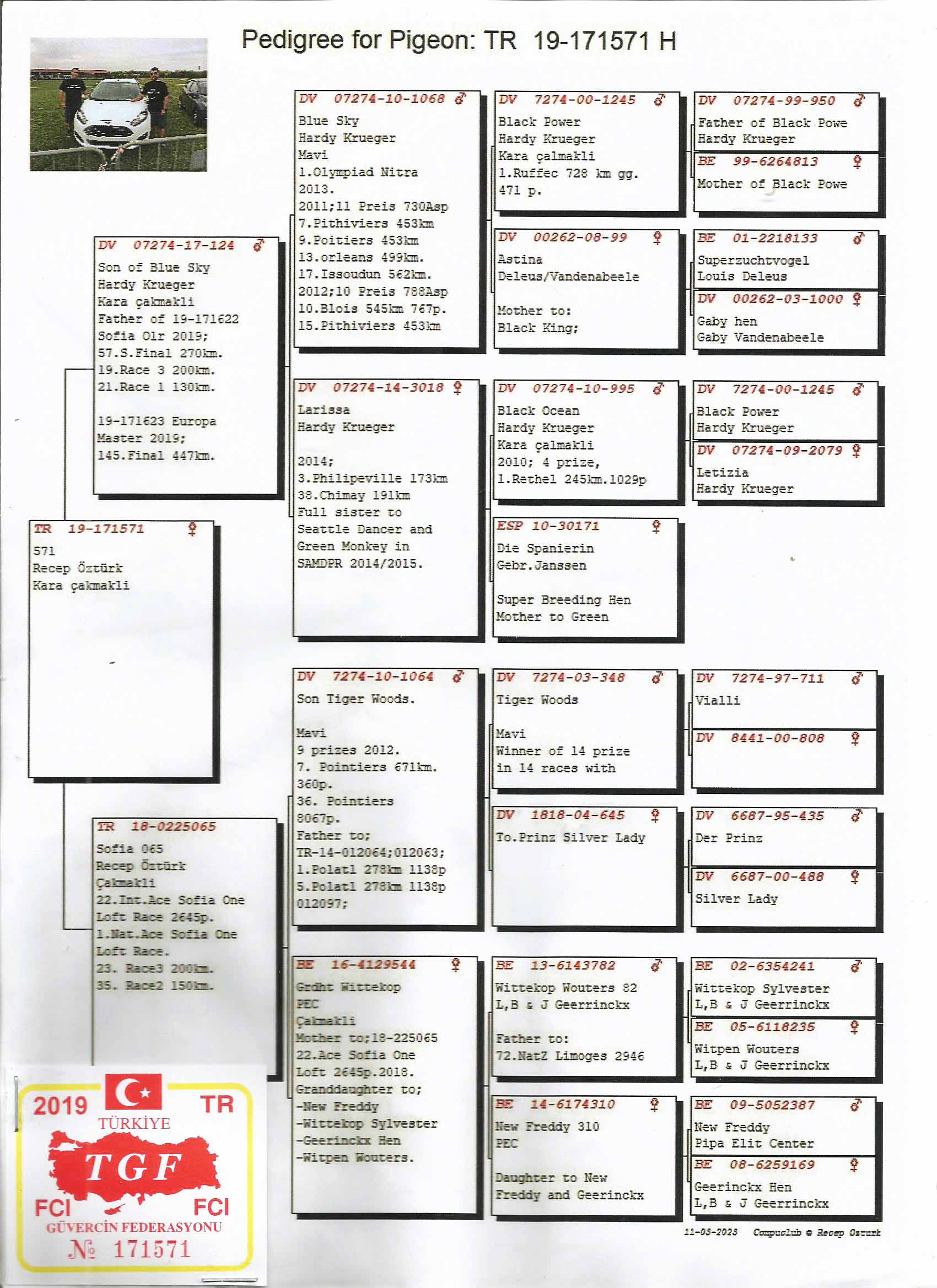 TR19-171571 DİŞİ / RECEP ÖZTÜRK - HARDY KRUGER % 75 