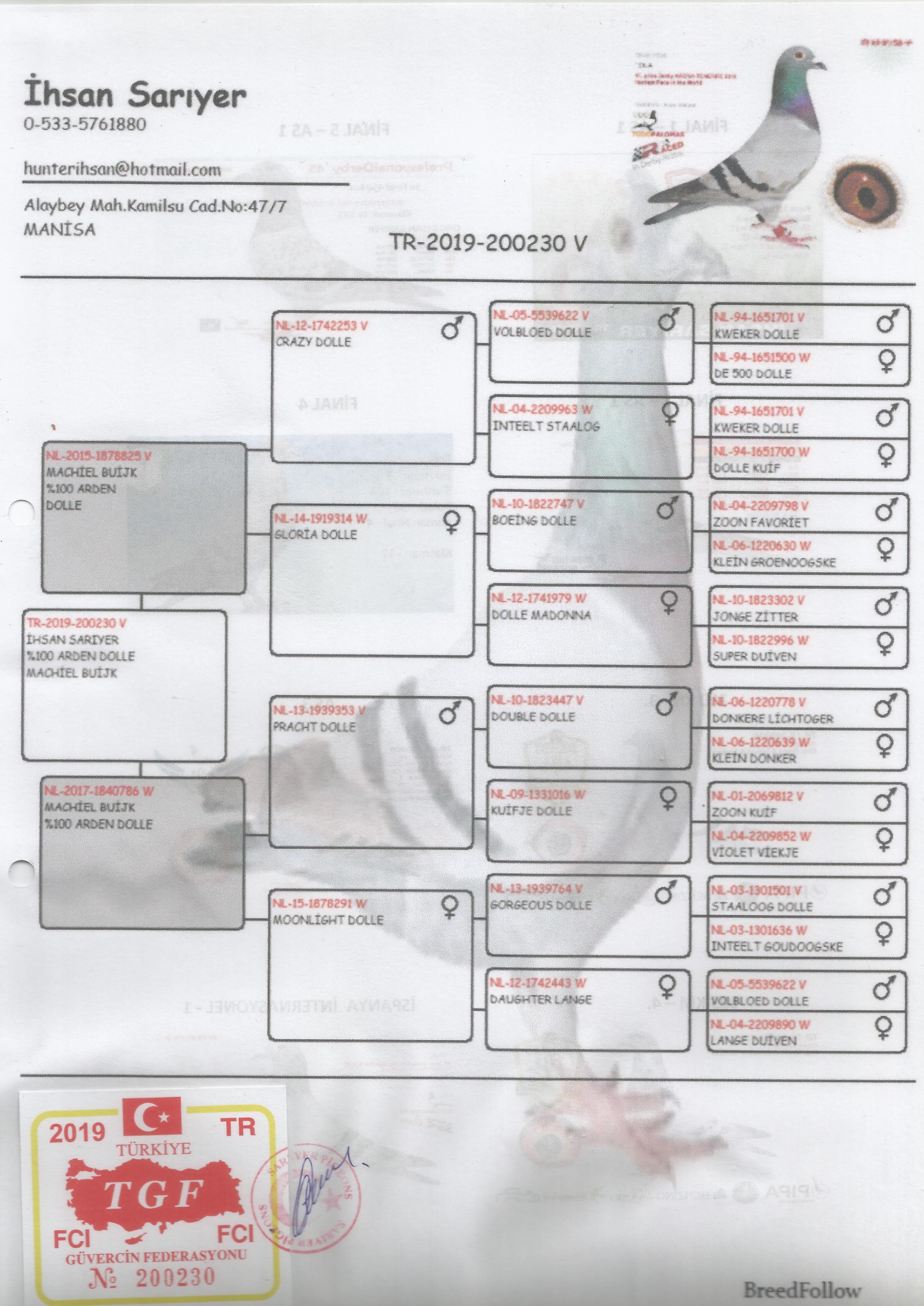 TR19-200230 ERKEK / ORJ İHSAN SARIYER AARDEN % 100 ( DOLLE )