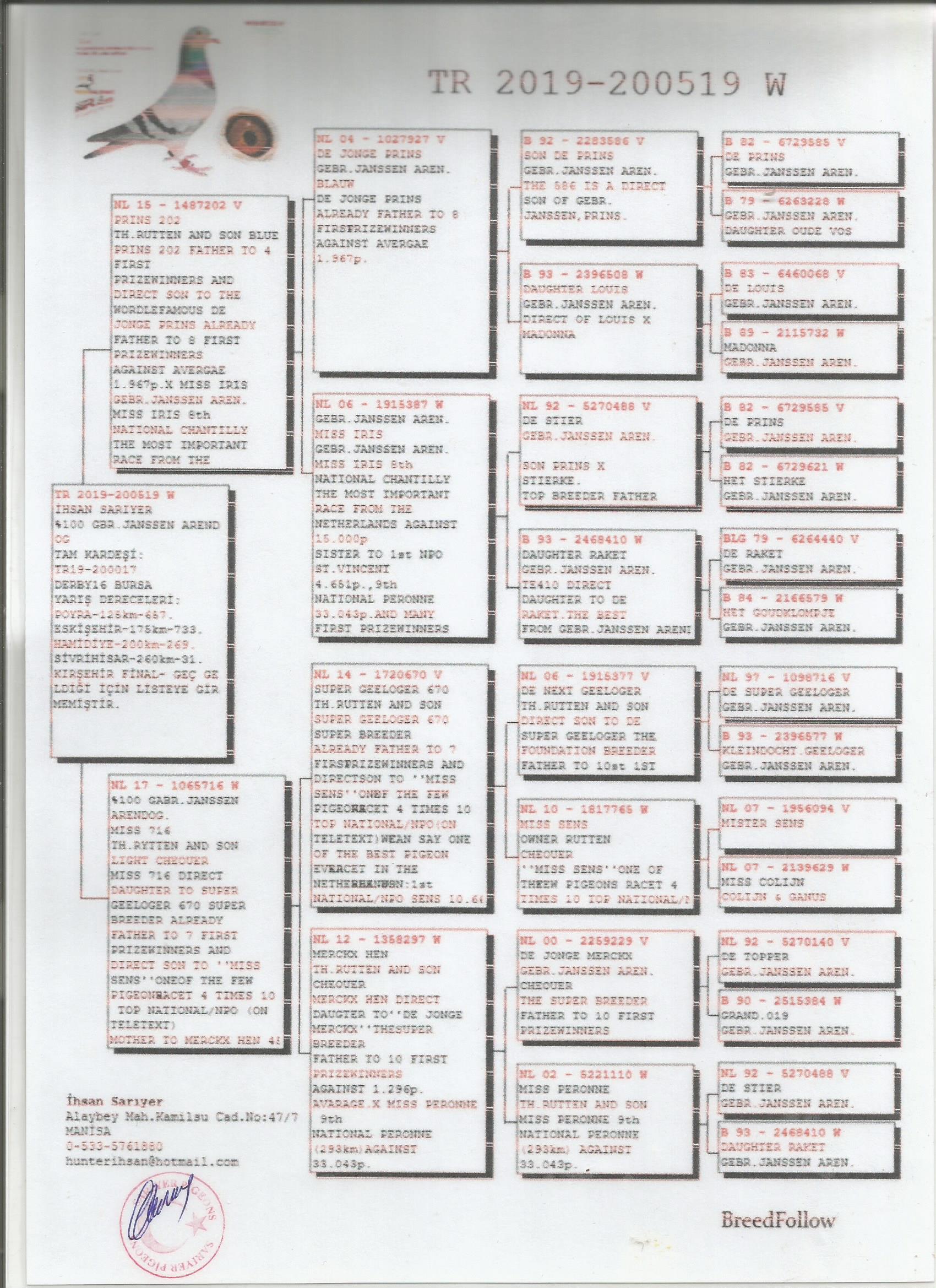 TR19-200519 DİŞİ / JANSSEN % 100