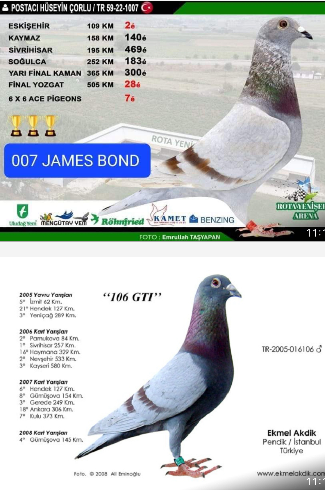 TR19-220243 ERKEK / KENDİSİ FİNAL 6 YAVRUSU JAMES BOND 3 KUPALI 